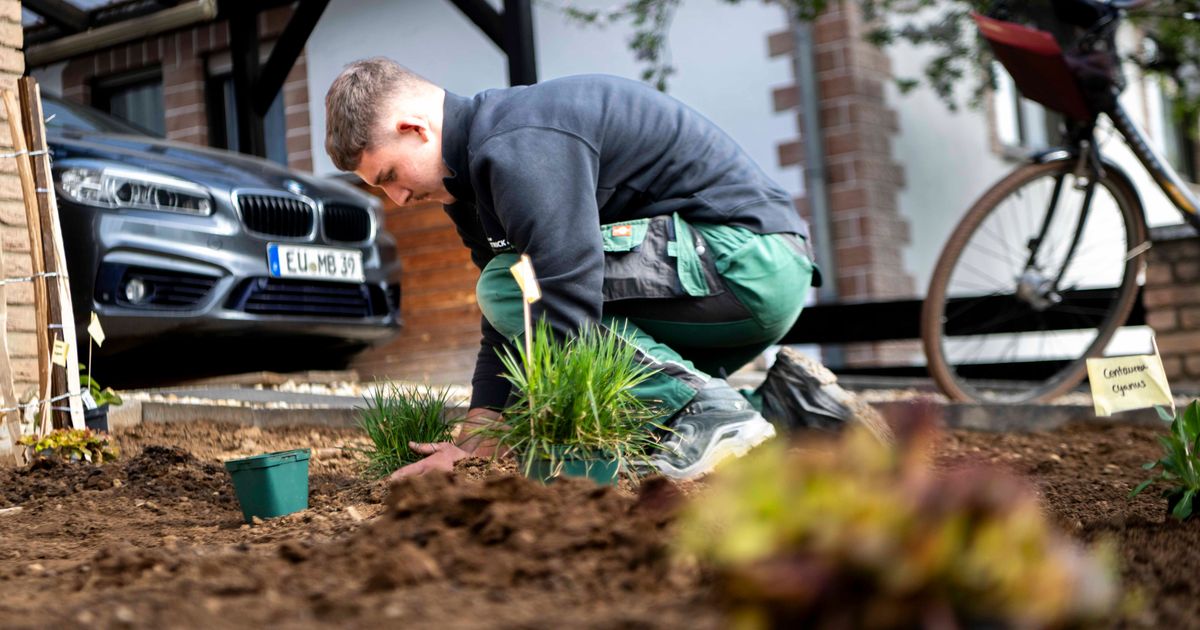 Climate project: Euskirchen district declares war on gravel gardens with a ...