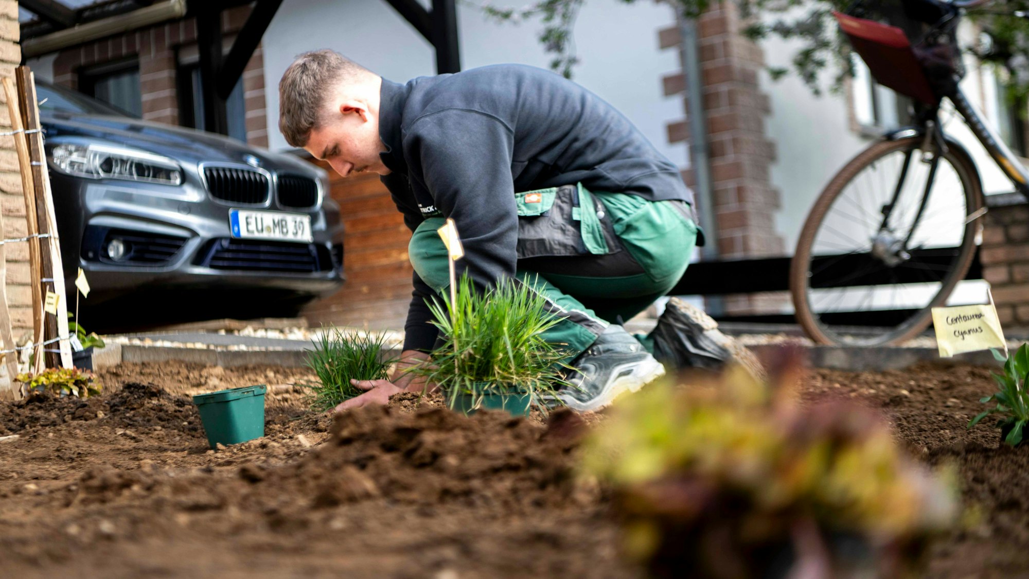 Ein Mann kniet in einem Gartenstück an einem Haus und pflanzt eine Staude ein.
