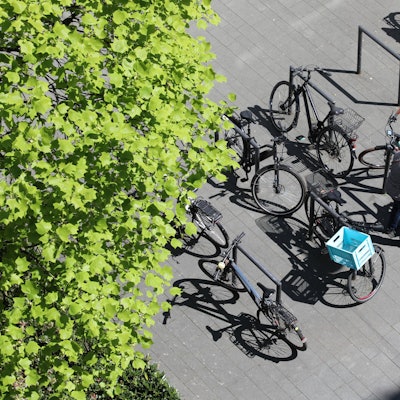 Fahrräder stehen angeschlossen an Fahrradbügeln.