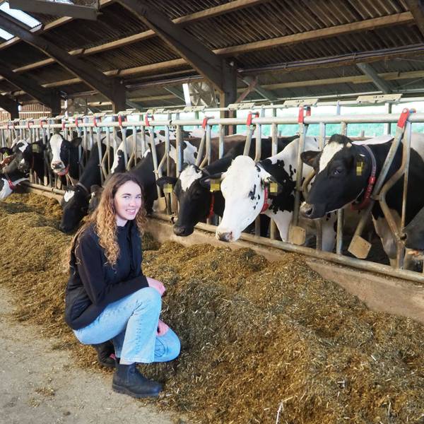Landwirtin Luisa Dahmen im Kuhstall bei ihren Milchkühen.