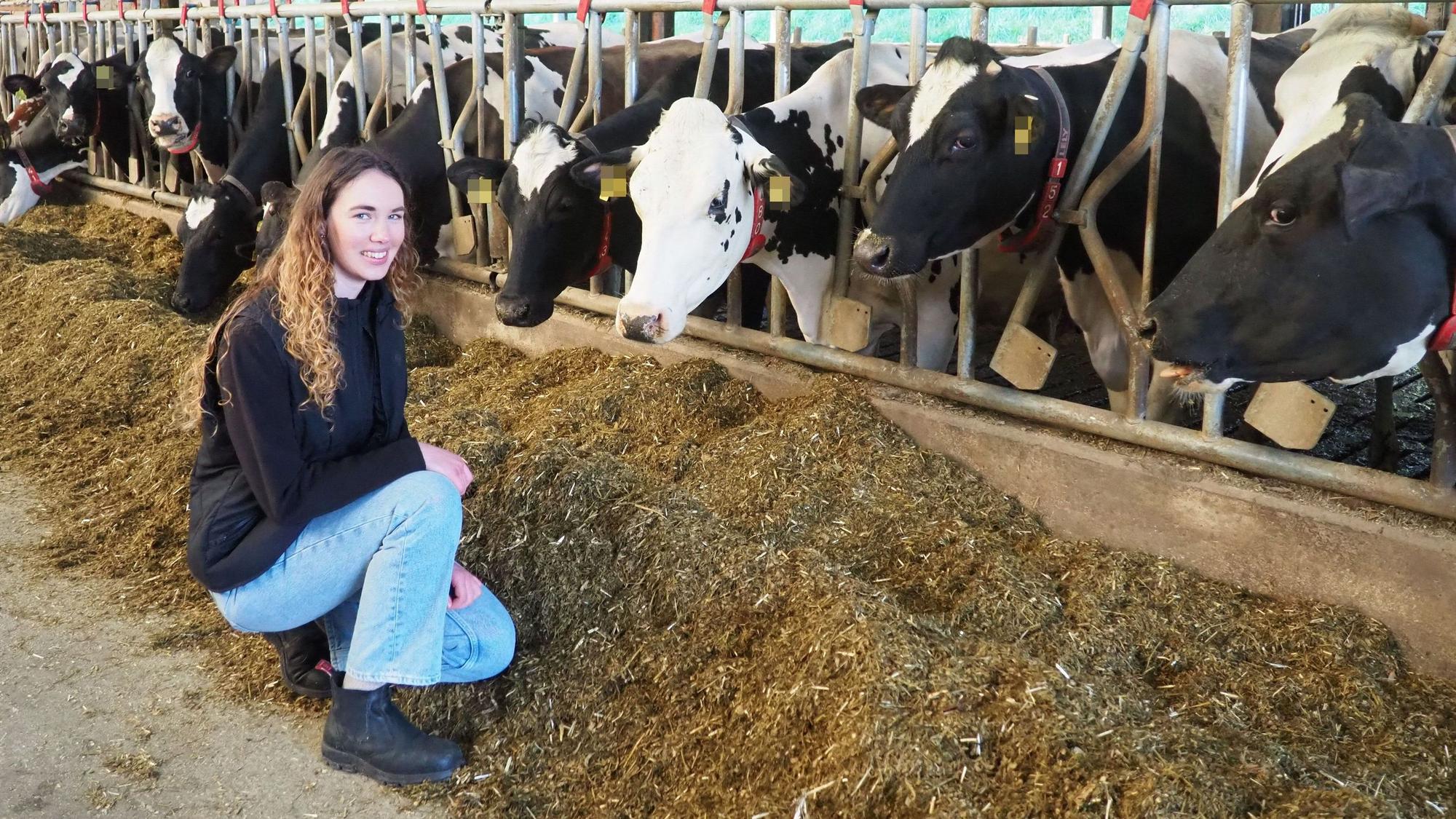 Landwirtin Luisa Dahmen im Kuhstall bei ihren Milchkühen.