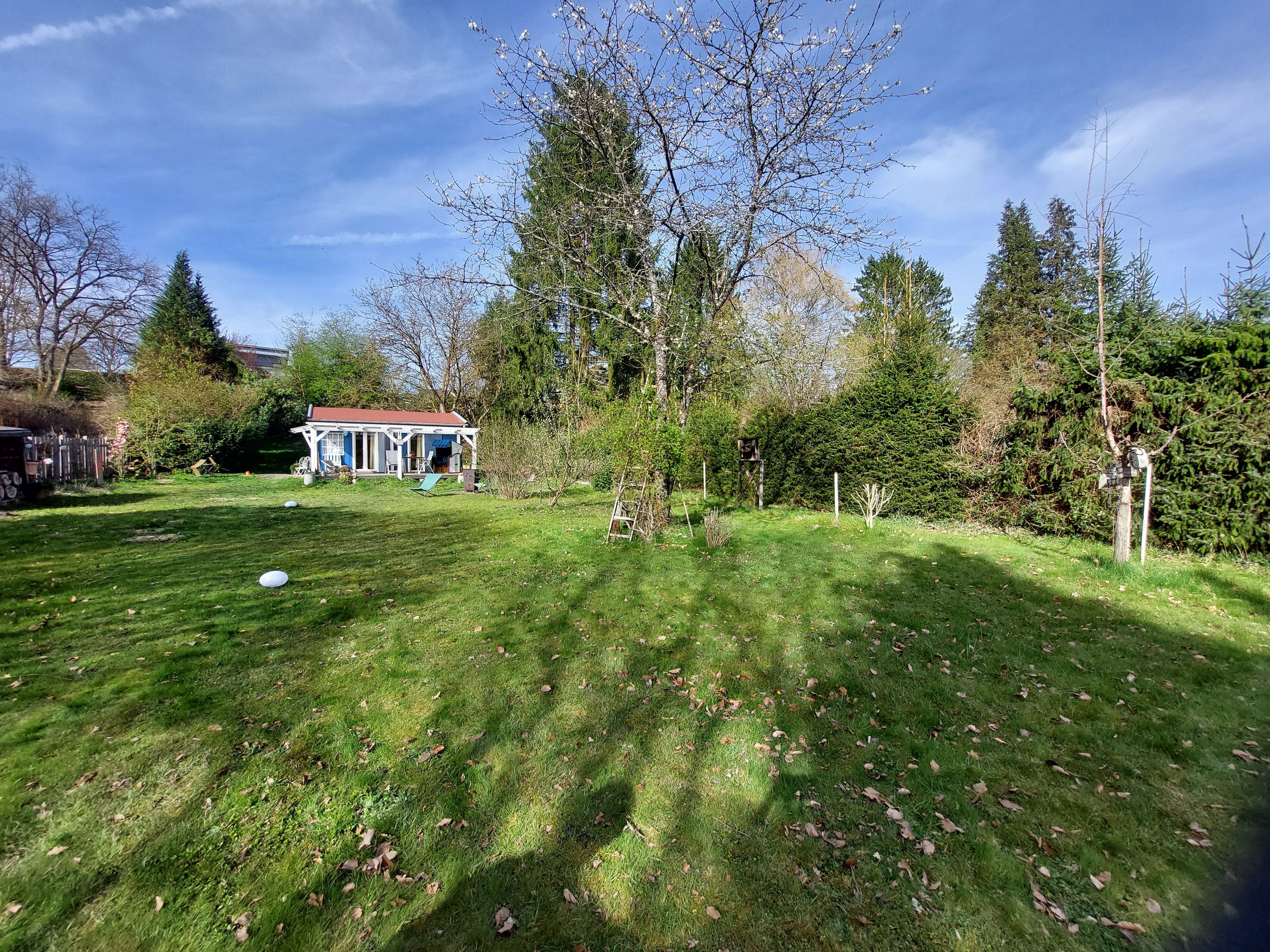 Ein kleines Ferienhaus am Rande einer Wiese und vor Bäumen.