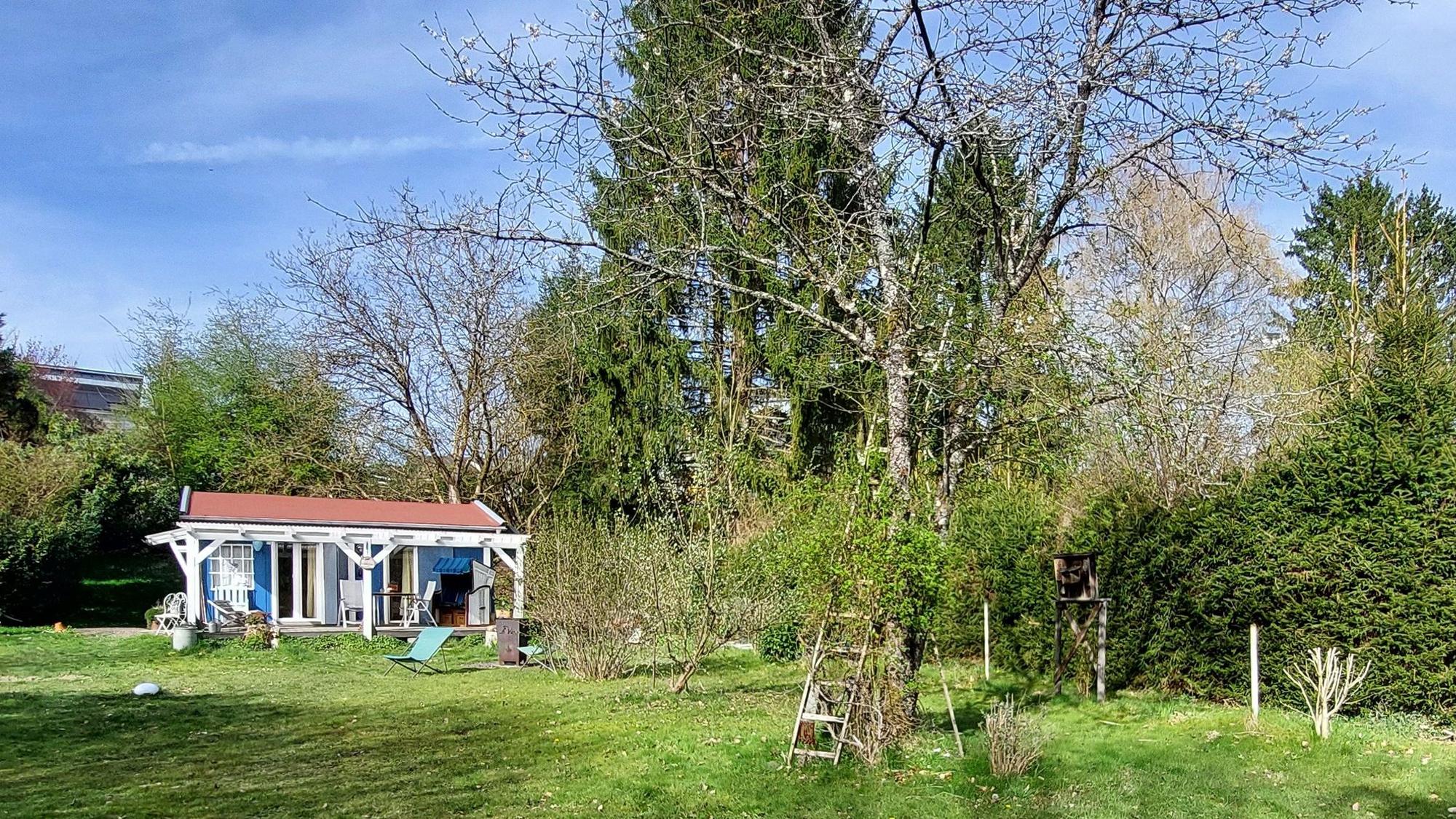 Ein kleines Ferienhaus am Rande einer Wiese und vor Bäumen.