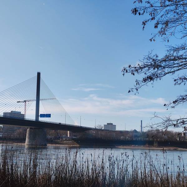 Die Nordbrücke vom rechten Rheinufer aus, mit einem Kran im Hintergrund.