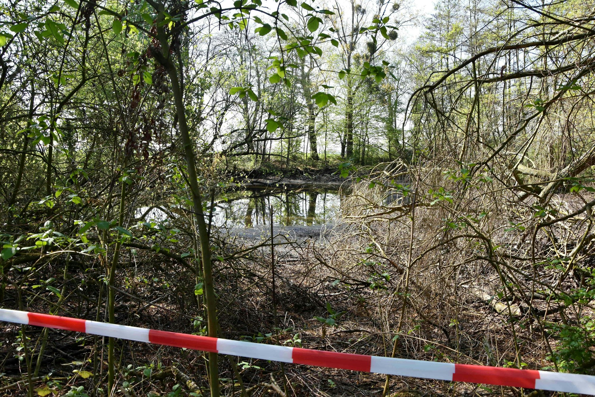 Das Bild zeigt Absperrband vor dem Weiher.