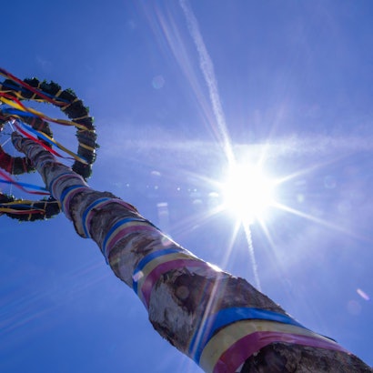 Ein Maibaum steht vor einem blauen Himmel, mit bunten, flatternden Bändern.