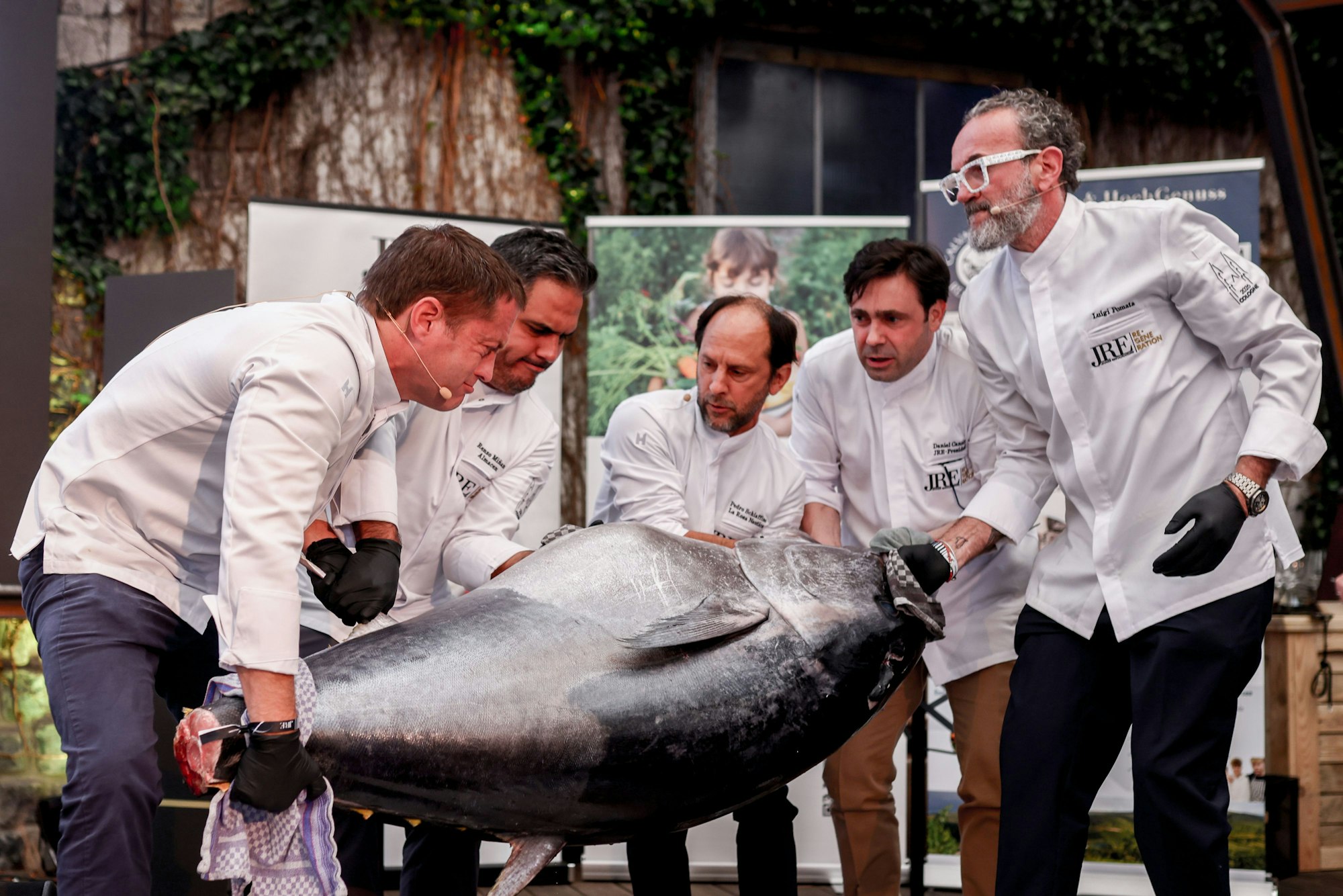 Köche tragen einen Thunfisch.