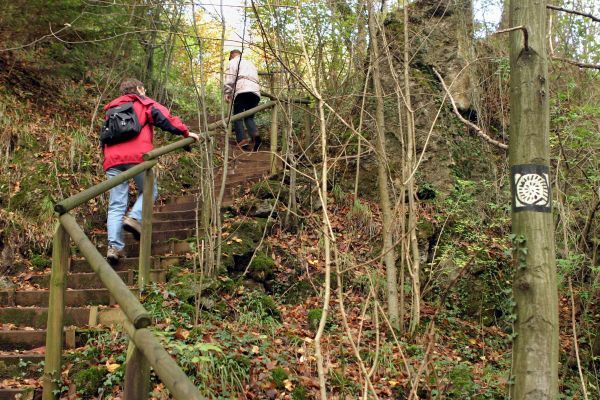 Zwei Menschen laufen eine Treppe in einem Wald hoch.