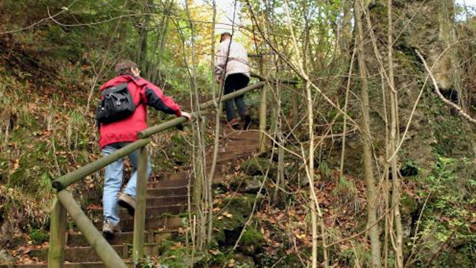 Zwei Menschen laufen eine Treppe in einem Wald hoch.
