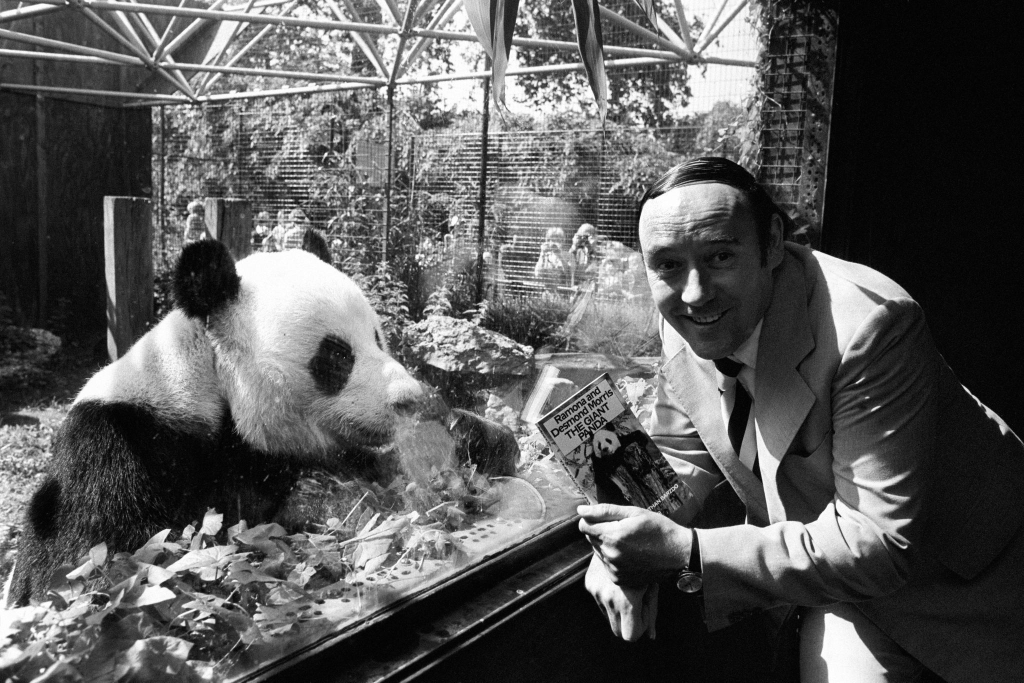Britischer Zoologe Desmond Morris gestorben