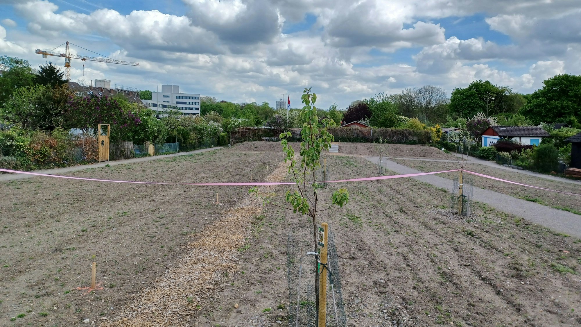 Noch ungenutzte, kahle Gärten sind zu sehen, um sie herum liegen schon bestehende Kleingärten.