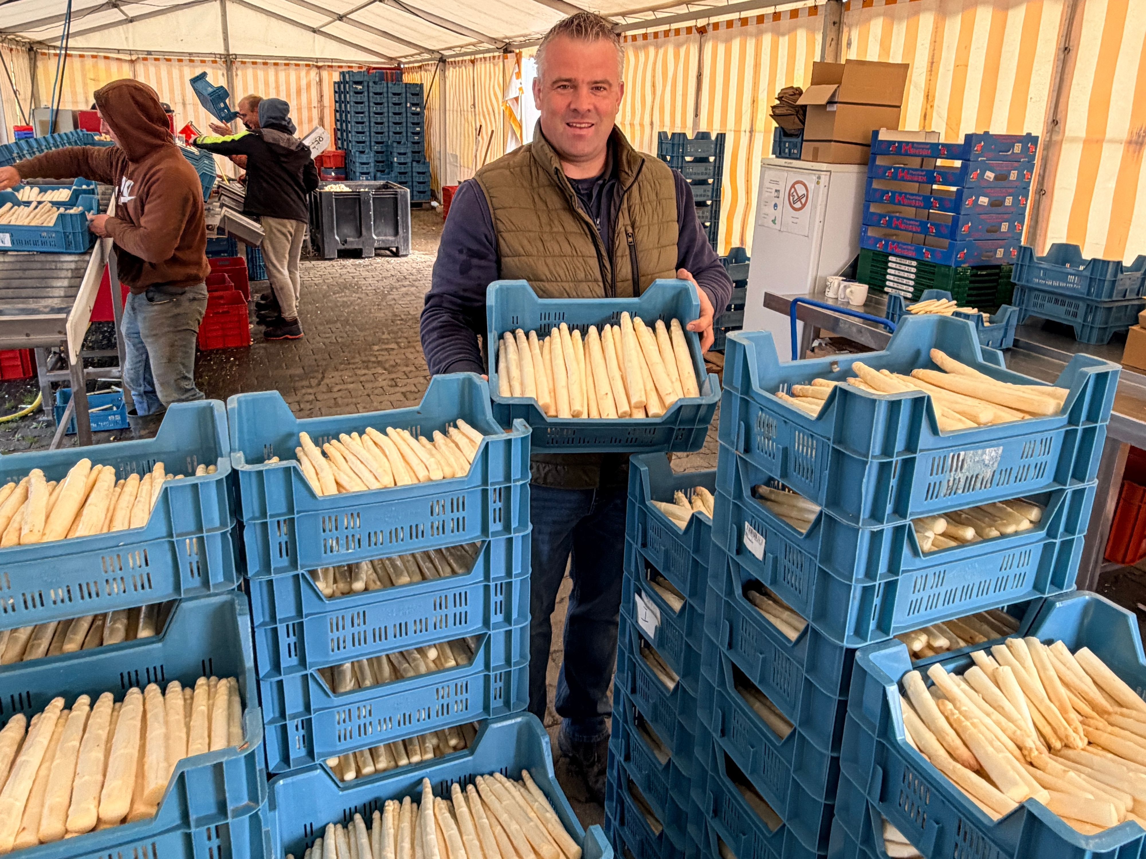 Der Landwirt steht vor den aufgestapelten Boxen, in denen der frische Spargel verkauftsfertig liegt.