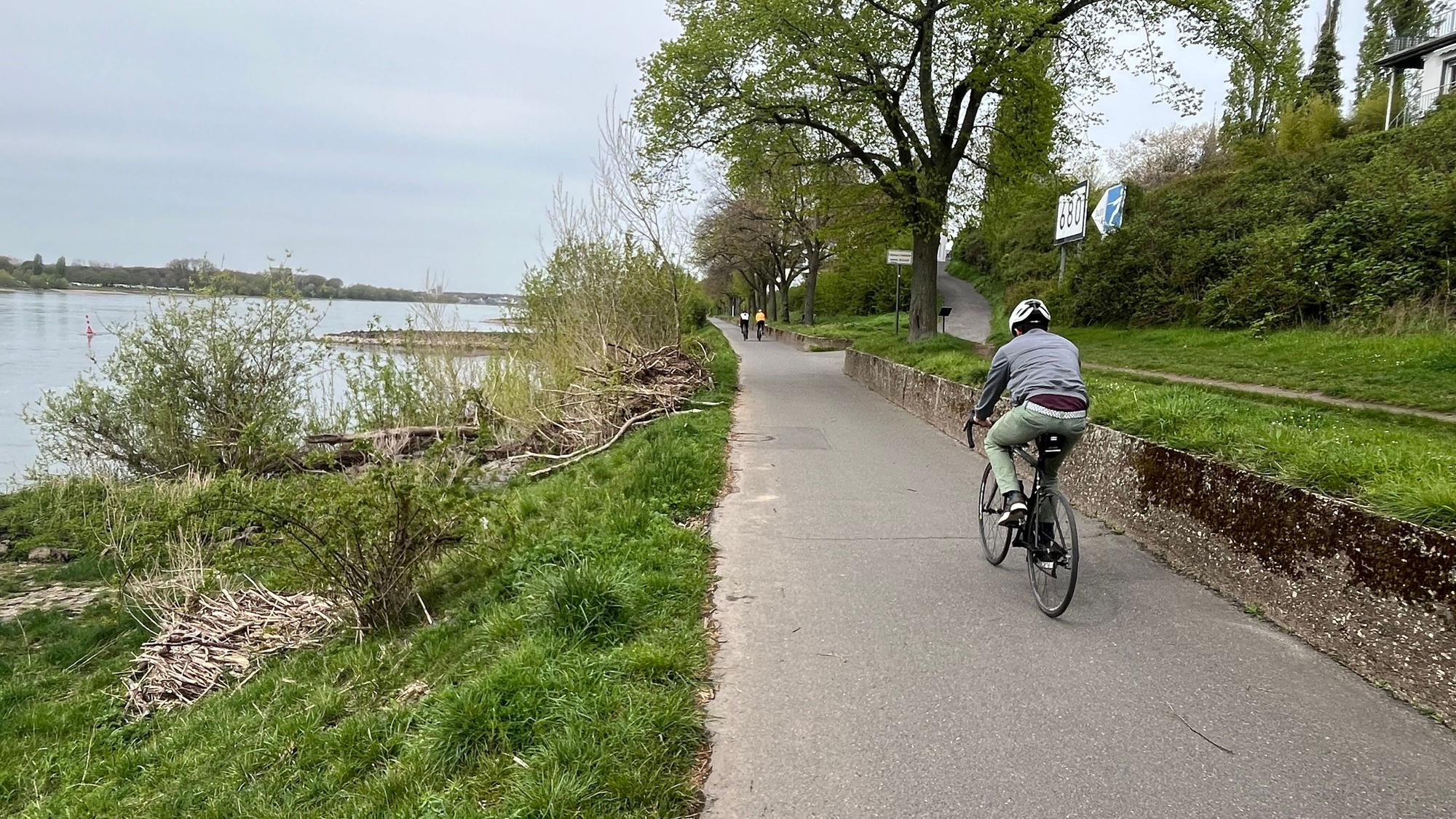 Ein Radweg führt am Rhein entlang.