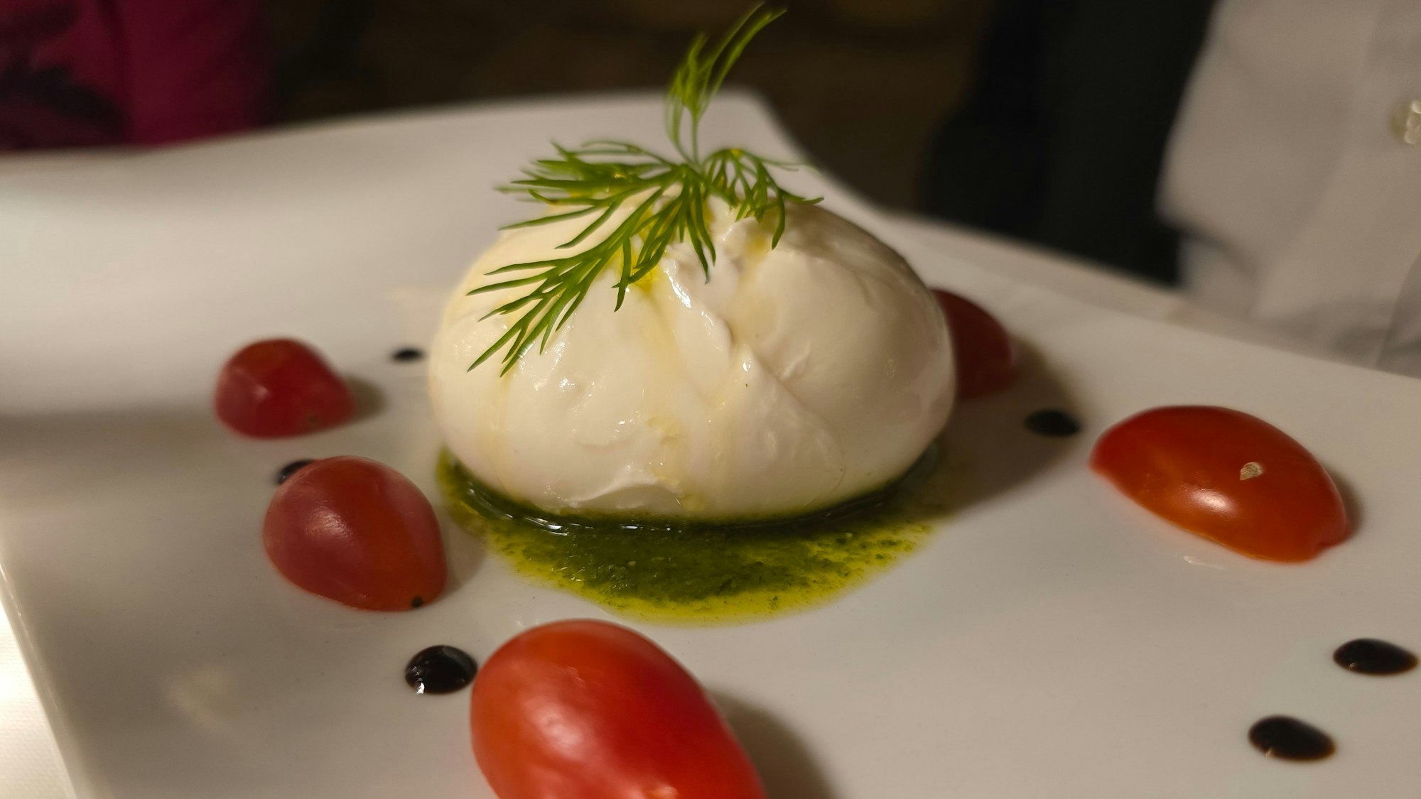 Eine Burrata-Kugel auf Pesto, drumrum sind Tomaten angerichtet.