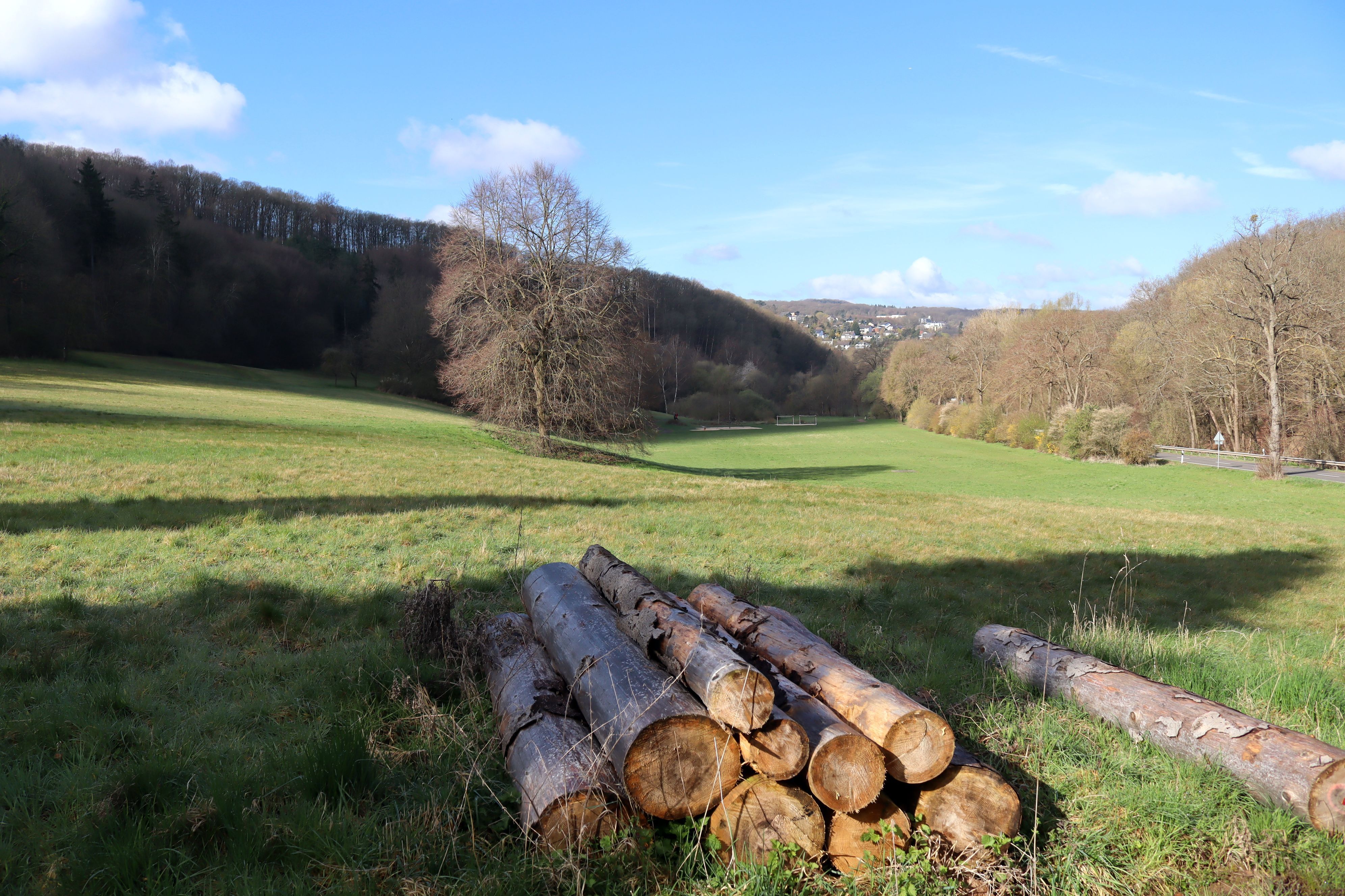 Ein Stapel Holz liegt auf einer Wiese im Schleidpark. Dort soll die neue Grundschule entstehen.