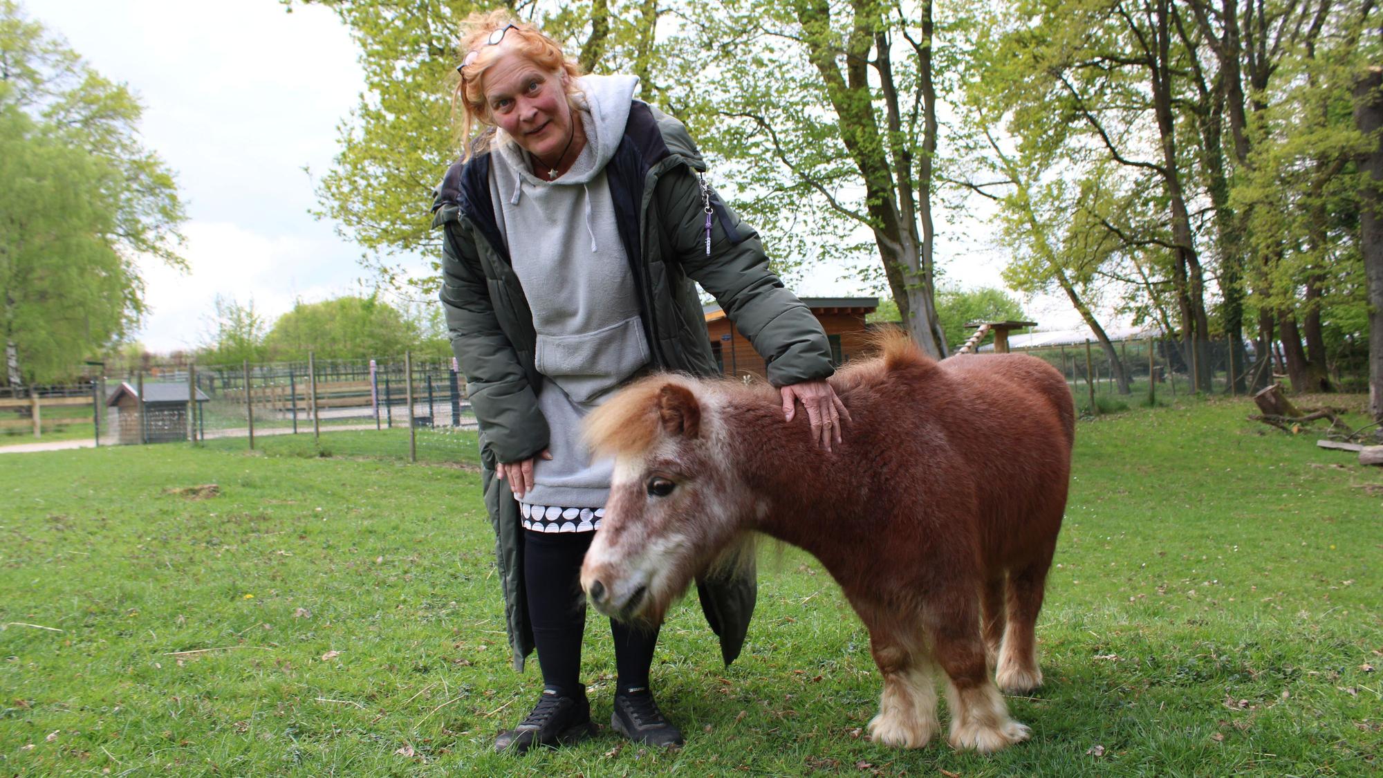 Tara Tierhilfe in Lohmar: Shetlandpony Otto (45) ist zum Instagram-Star geworden