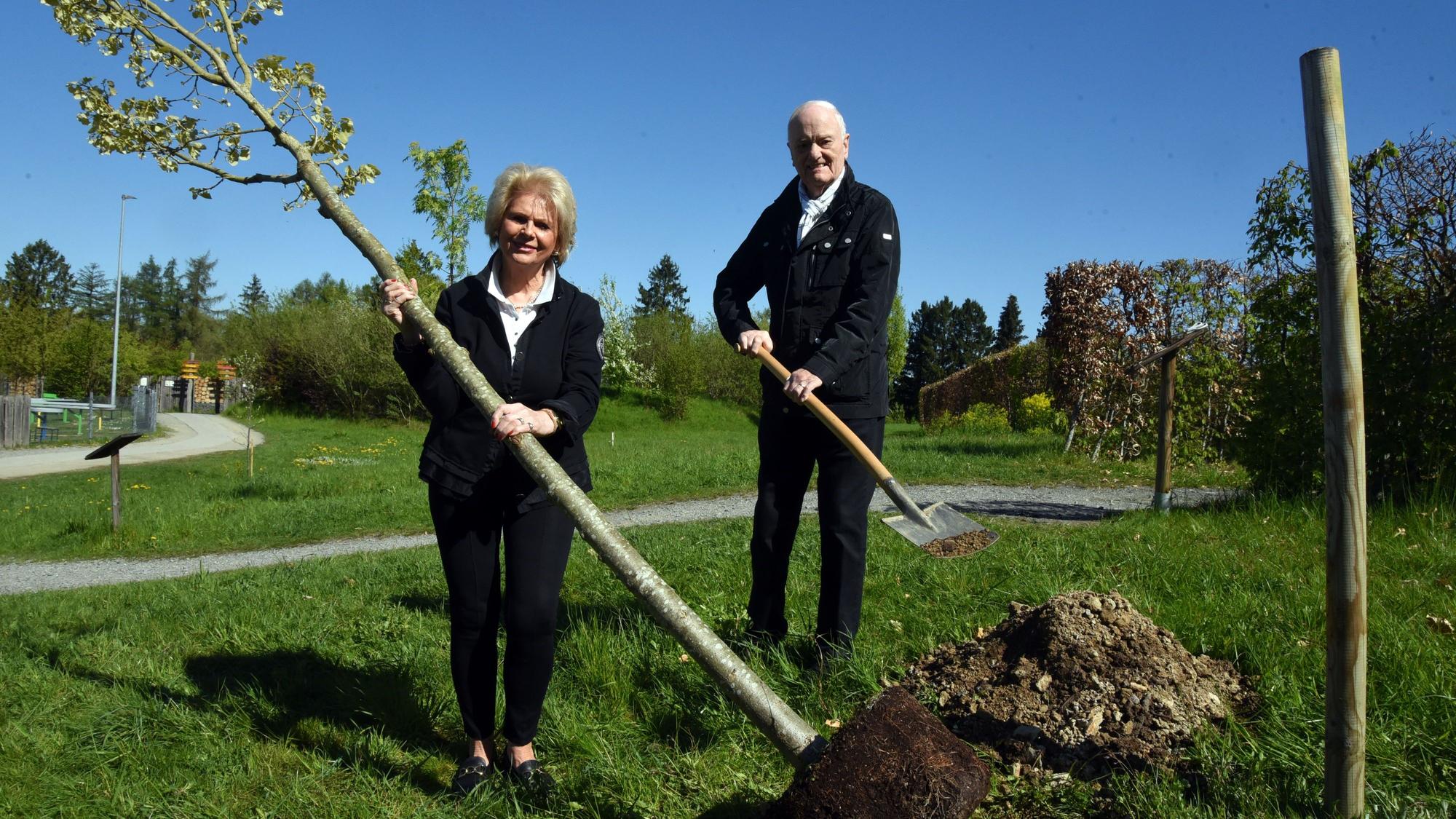 Auf dem Gelände des Naturerlebnisparks Panarbora hat das Jubelpaar Hildegard und Reinhard Grüber aus Waldbröl zur Feier der Diamanthochzeit eine Linde gesetzt.