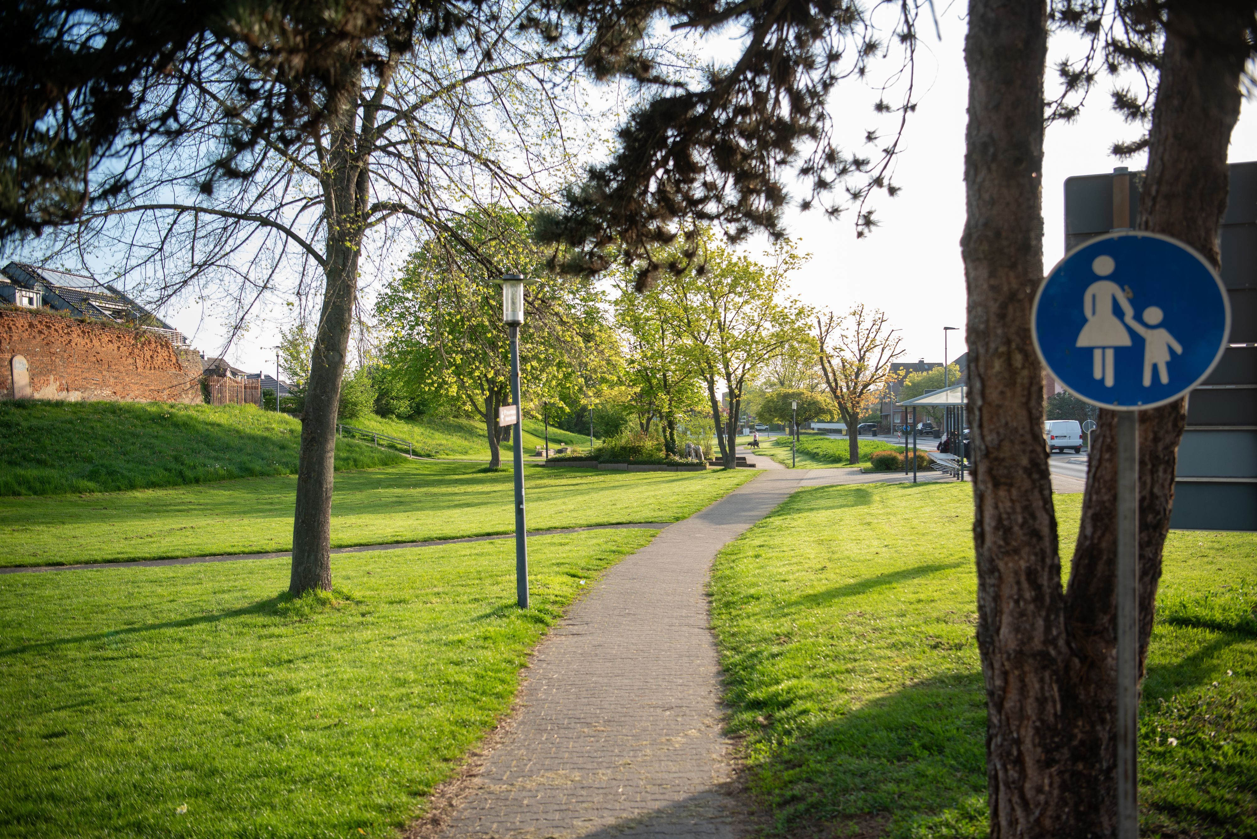 Ein gepflasterter Fußweg führt durch die Grünanlage, die umgestaltet werden soll.
