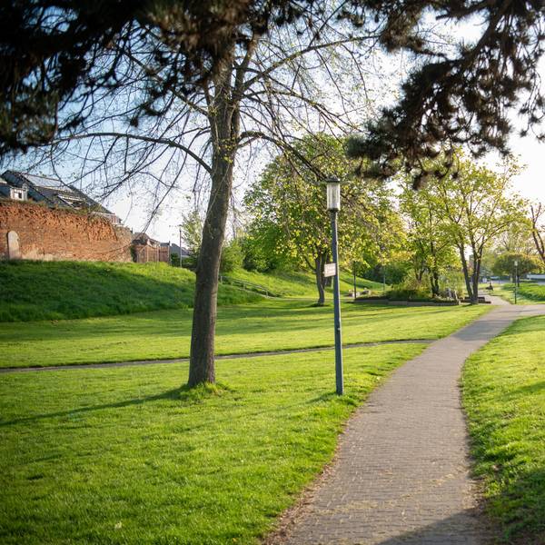 Ein gepflasterter Fußweg führt durch die Grünanlage, die umgestaltet werden soll.