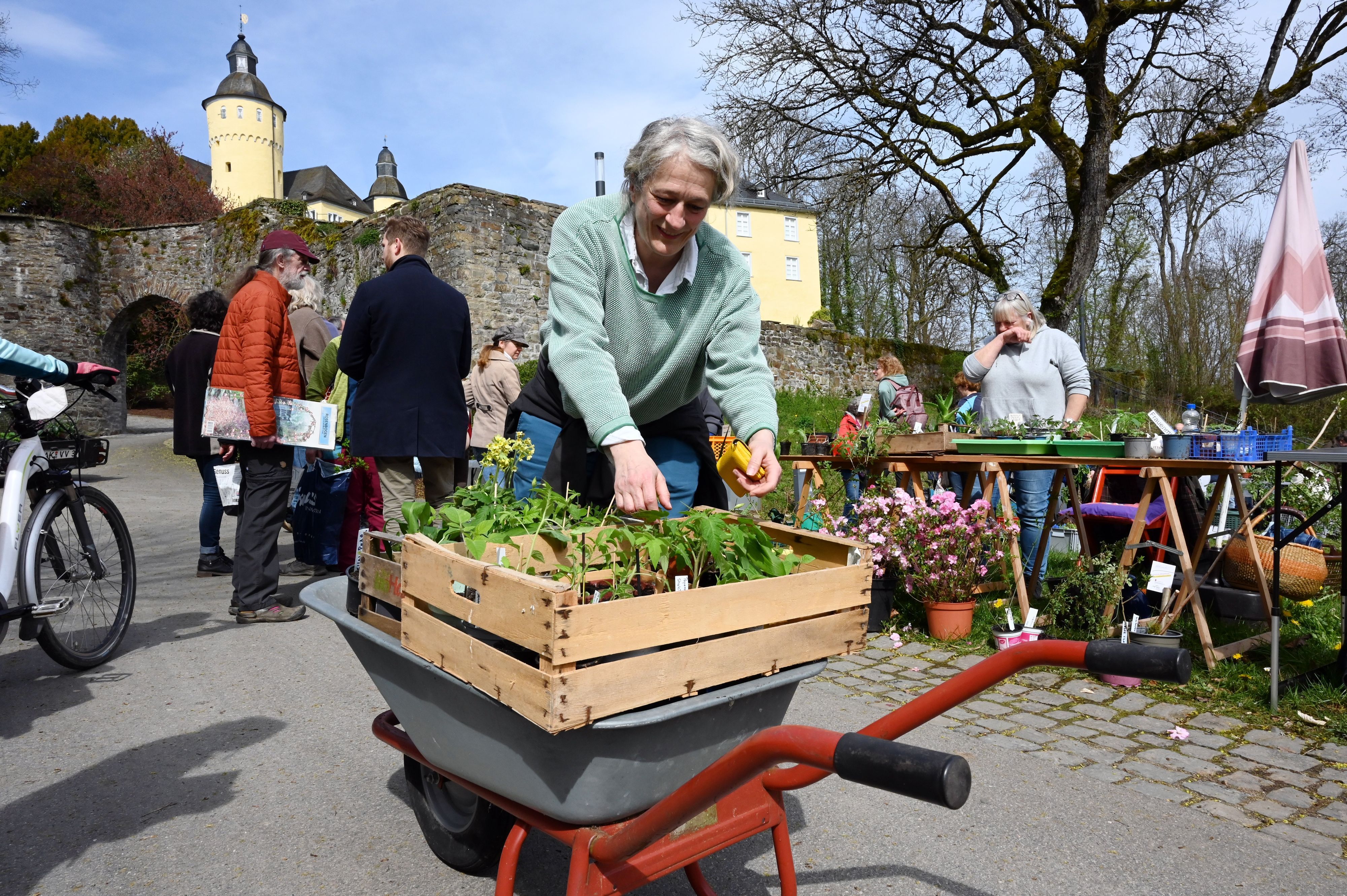 Am Schloss Homburg findet die beliebte Pflanzentauschbörse statt.