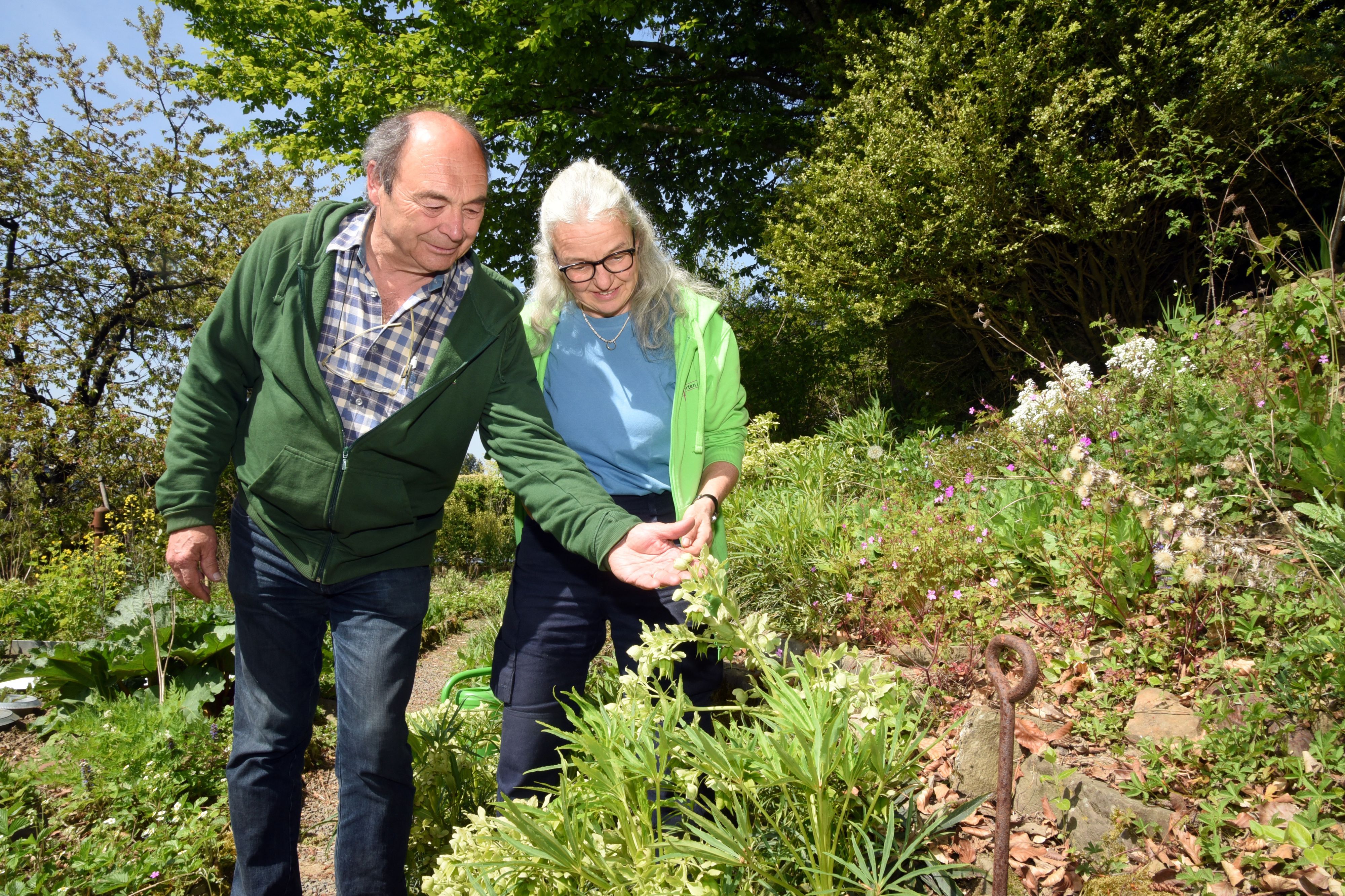 Eine Frau und ein Mann betrachten eine Staude.
