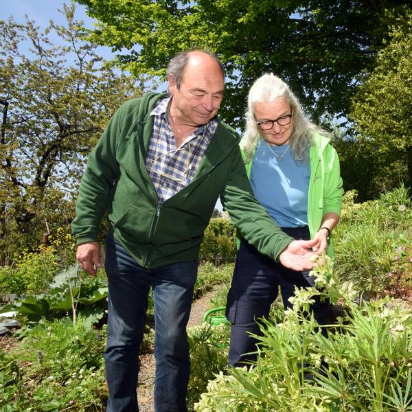 Eine Frau und ein Mann betrachten eine Staude.