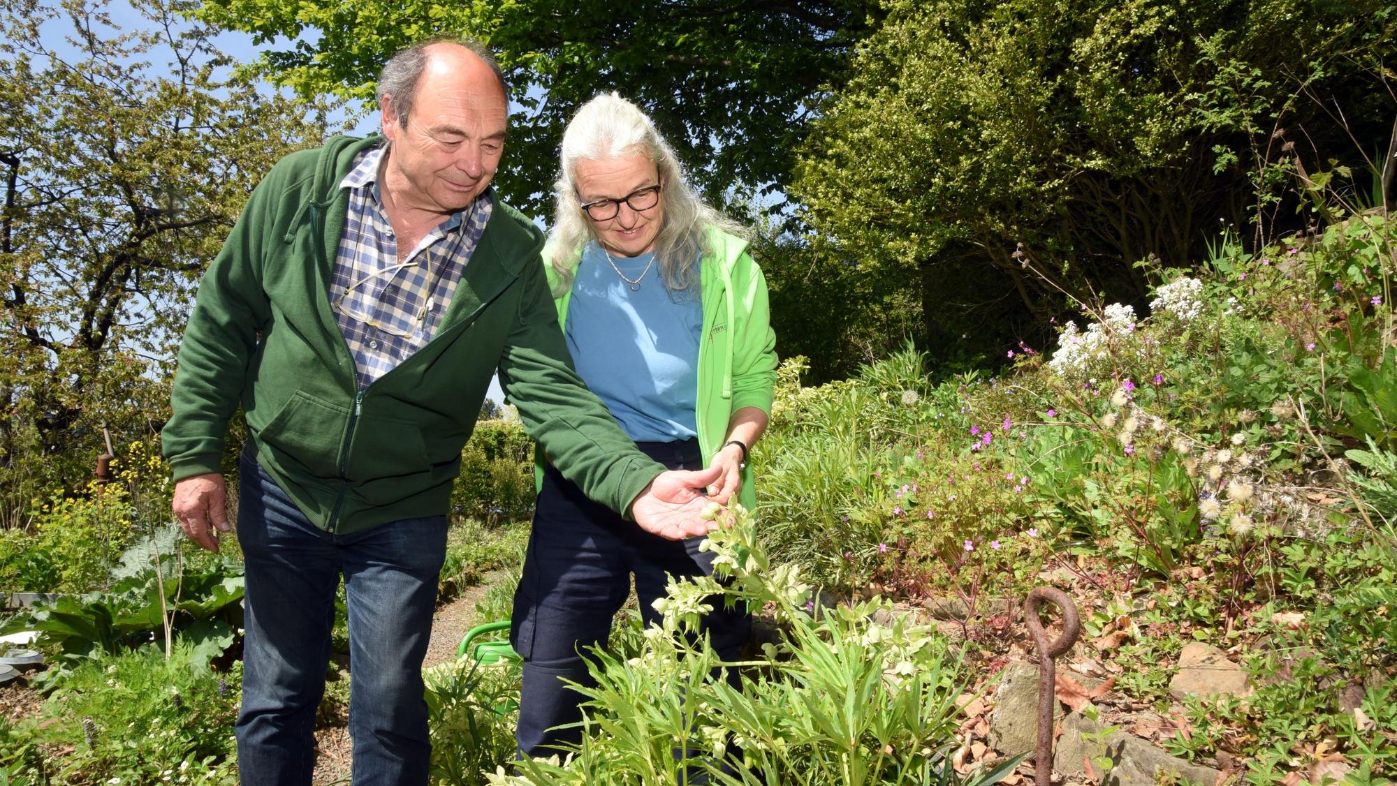 Eine Frau und ein Mann betrachten eine Staude.