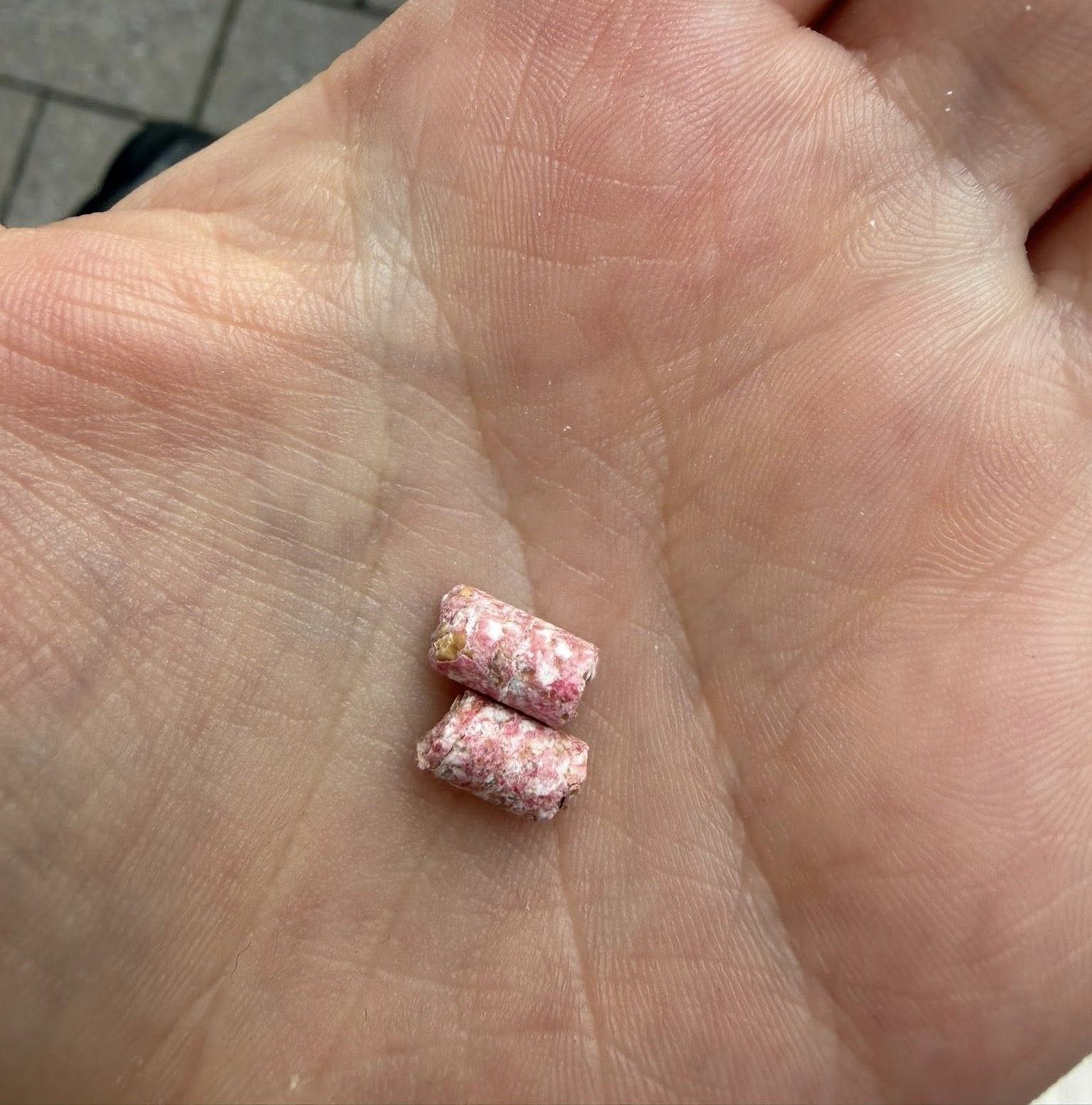 Diese Giftköder hat die Mutter gefunden, nachdem ihr Kind mutmaßlich vergiftet wurde.