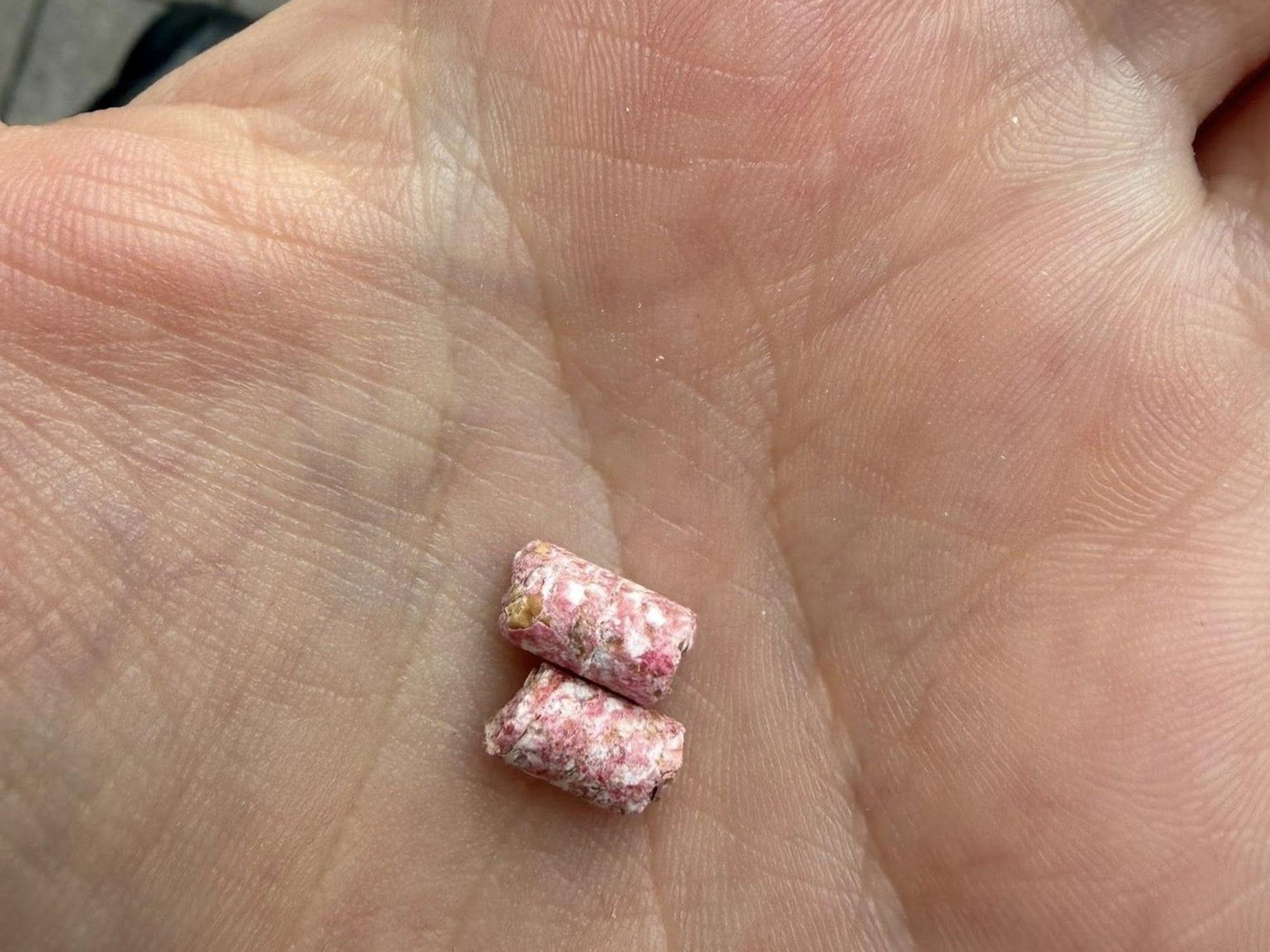 Diese Giftköder hat die Mutter gefunden, nachdem ihr Kind mutmaßlich vergiftet wurde.