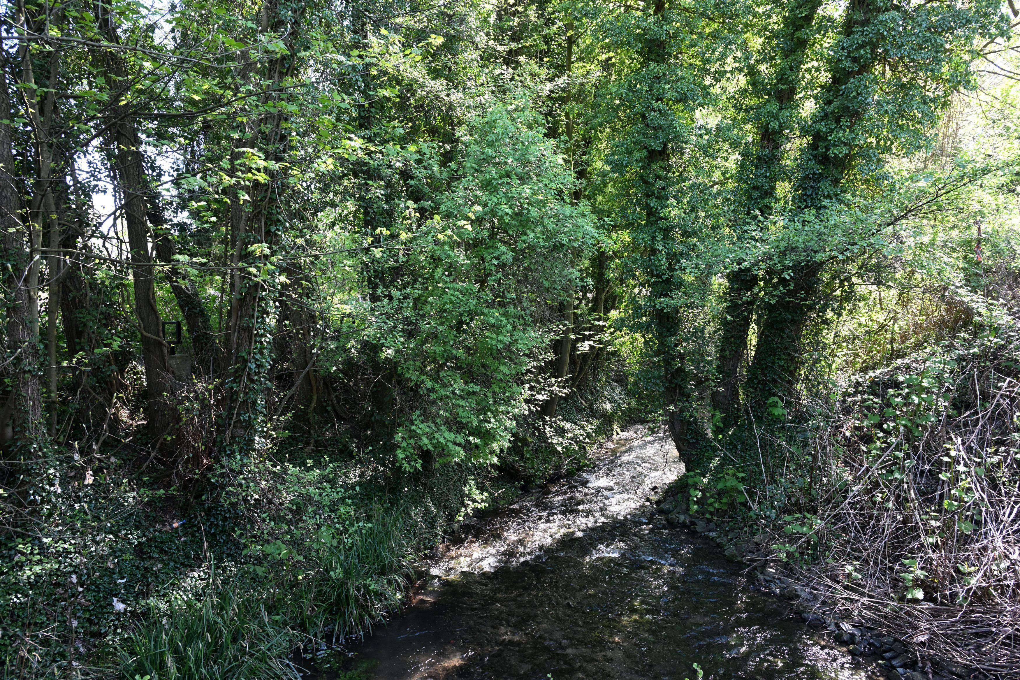 Das Foto zeigt die Strunde