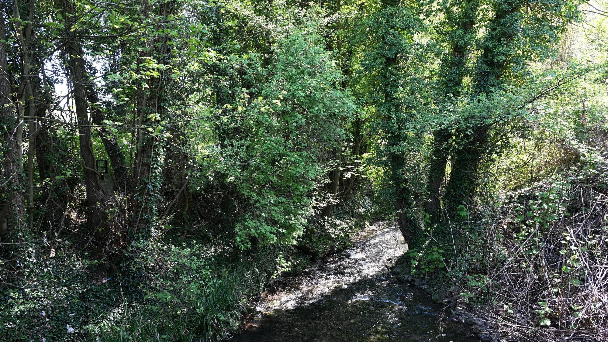 Das Foto zeigt die Strunde