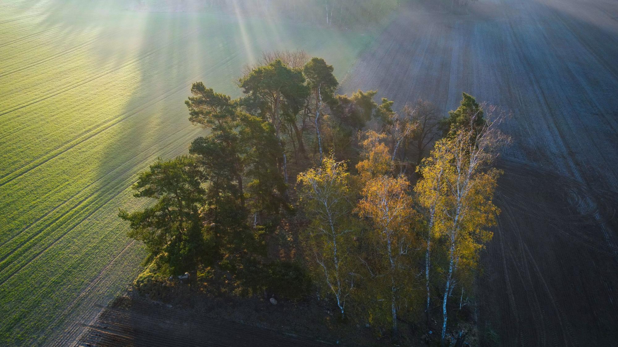 Der April im Rhein-Sieg-Kreis war zu kalt, der Mai lockt mit Sonnenschein: Das Hochdruckgebiet hält sich hartnäckig, so die Prognose von Karsten Brandt.