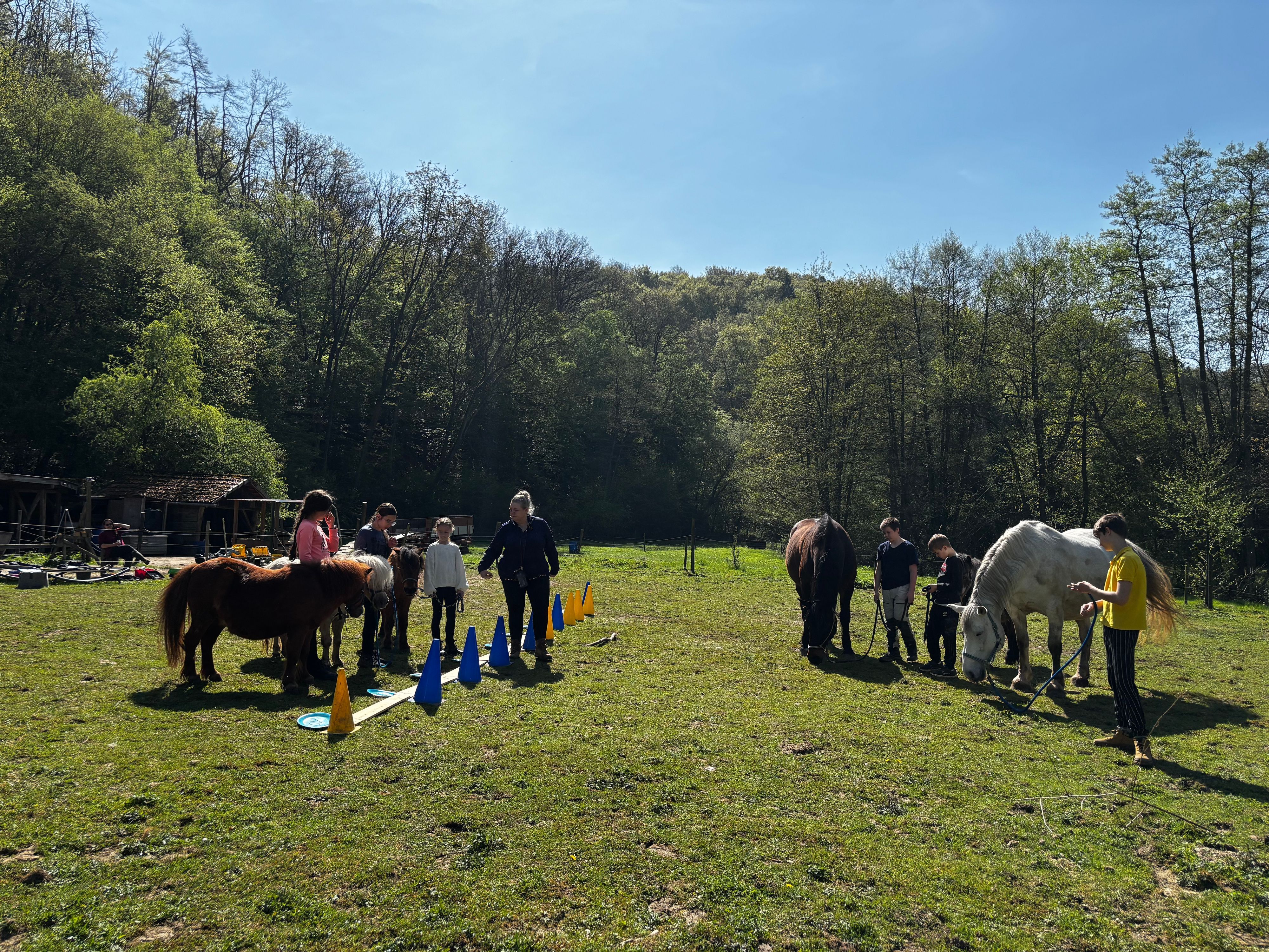 Die Kinder stehen gemeinsam mit den Pferden auf einer Wiese.