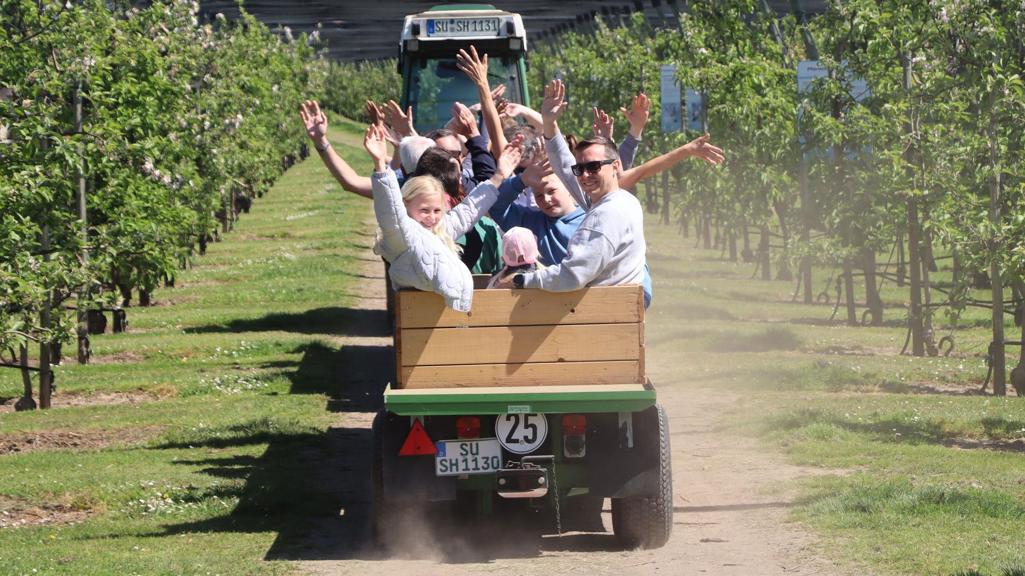 Menschen winken vom Anhänger bei Traktorfahrten durch die Plantagen