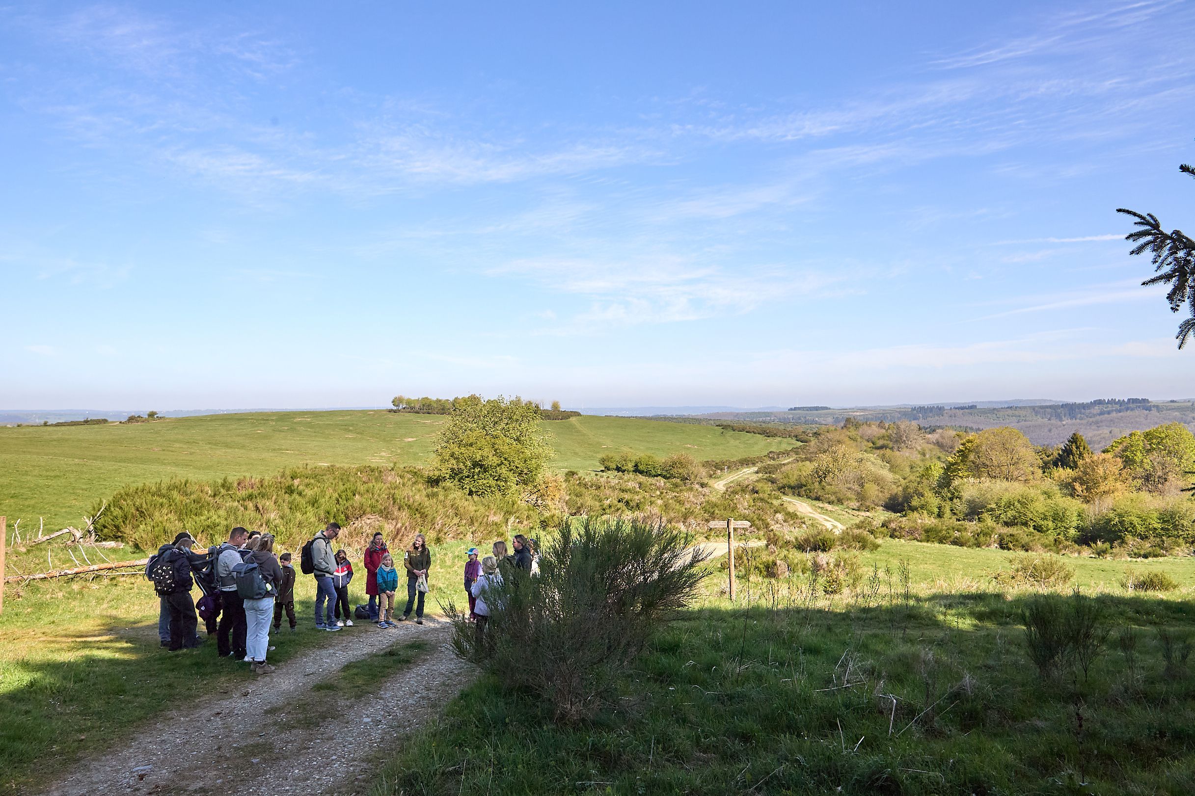 Mehrere Personen einer Besuchergruppe stehen an einem Wanderweg auf der Dreiborner Hochfläche.