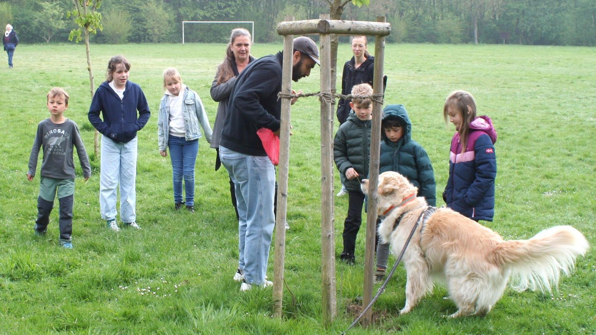 Tag des Wolfes in der Naturschule Aggerbogen, Seinen Fund zeigt Golden Retriever Romeo seinem Herrchen stets an und setzt sich meist daneben.