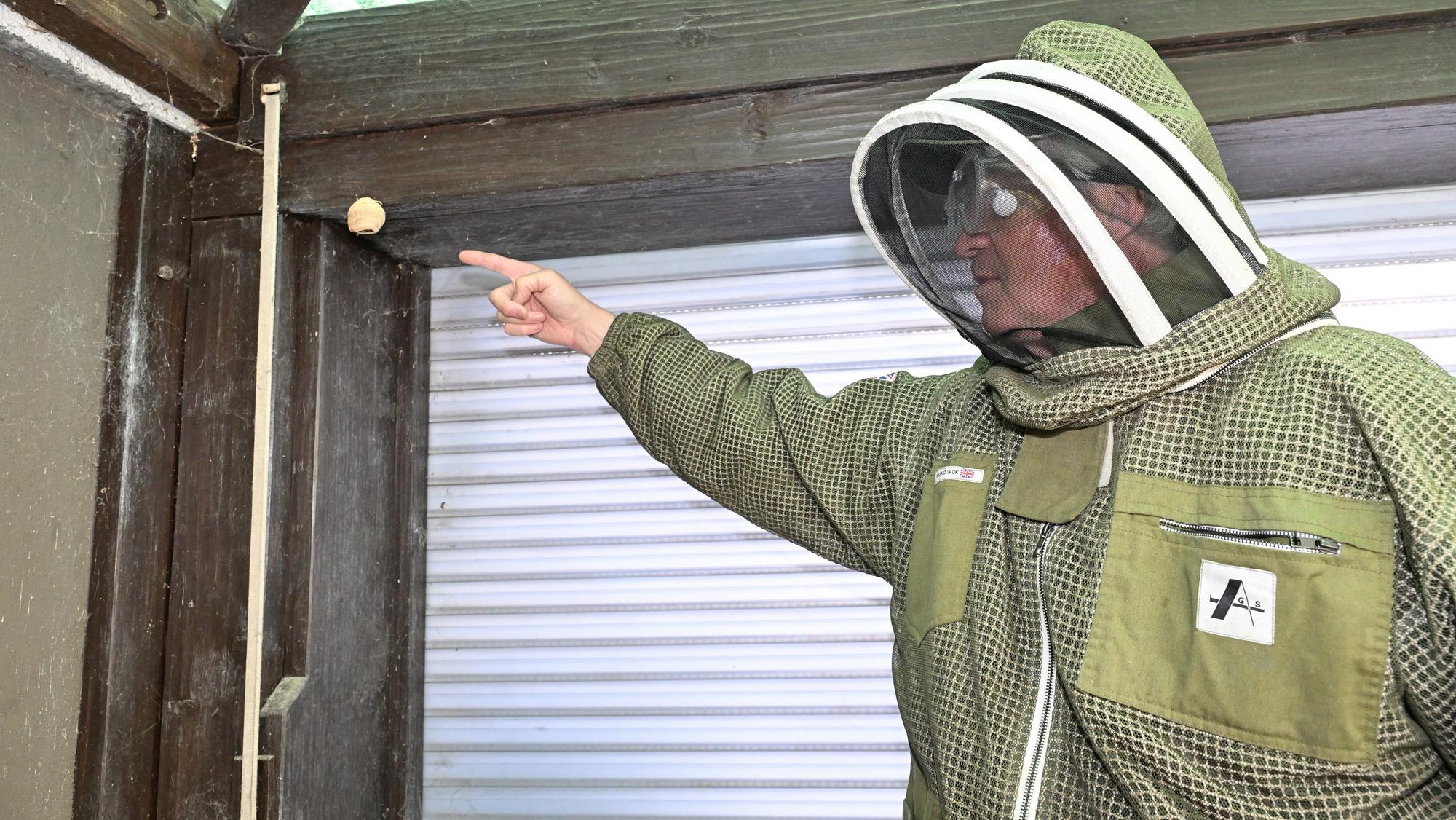 Markus Bollen zeigt auf das Nest.