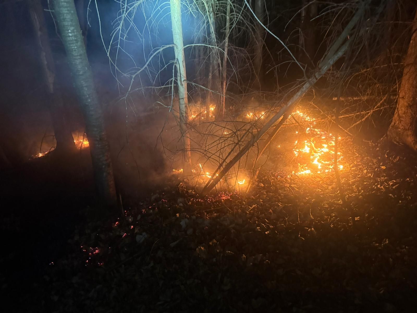 In Oberbech breitete sich das Feuer auf eine Fläche von etwa 250 Quadratmetern aus, in Kurtenbach auf rund 100 Quadratmeter.