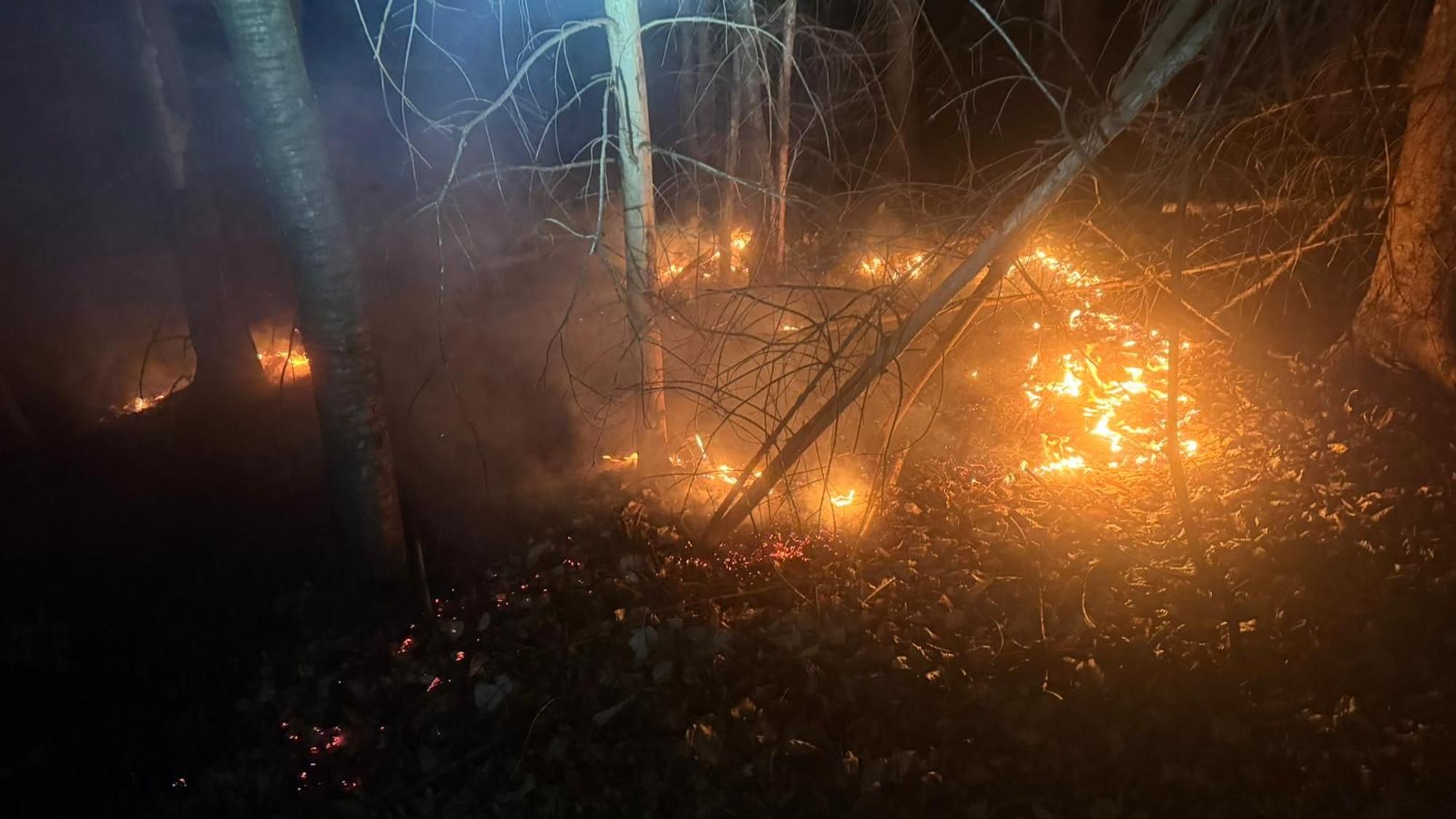 In Oberbech breitete sich das Feuer auf eine Fläche von etwa 250 Quadratmetern aus, in Kurtenbach auf rund 100 Quadratmeter.