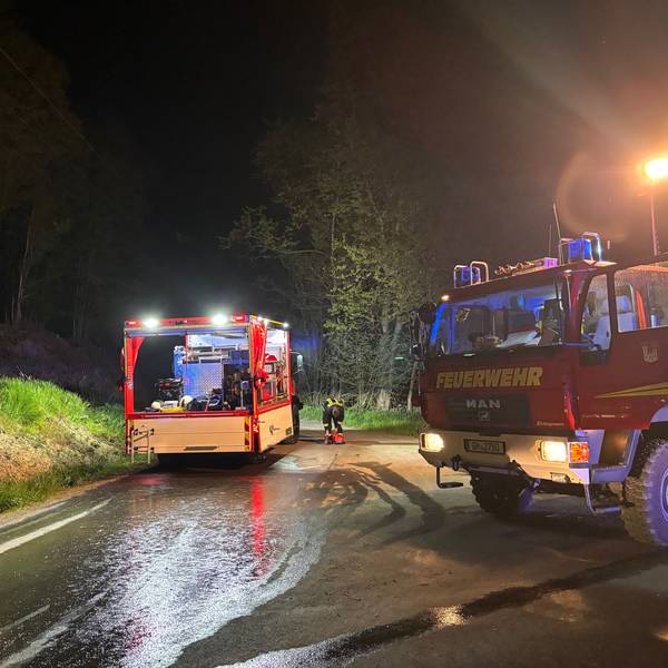 Beiderorts hatten sich die Flammen bereits auf Waldflächen ausgebreitet, sodass weitere Kräfte nachalarmiert werden mussten.