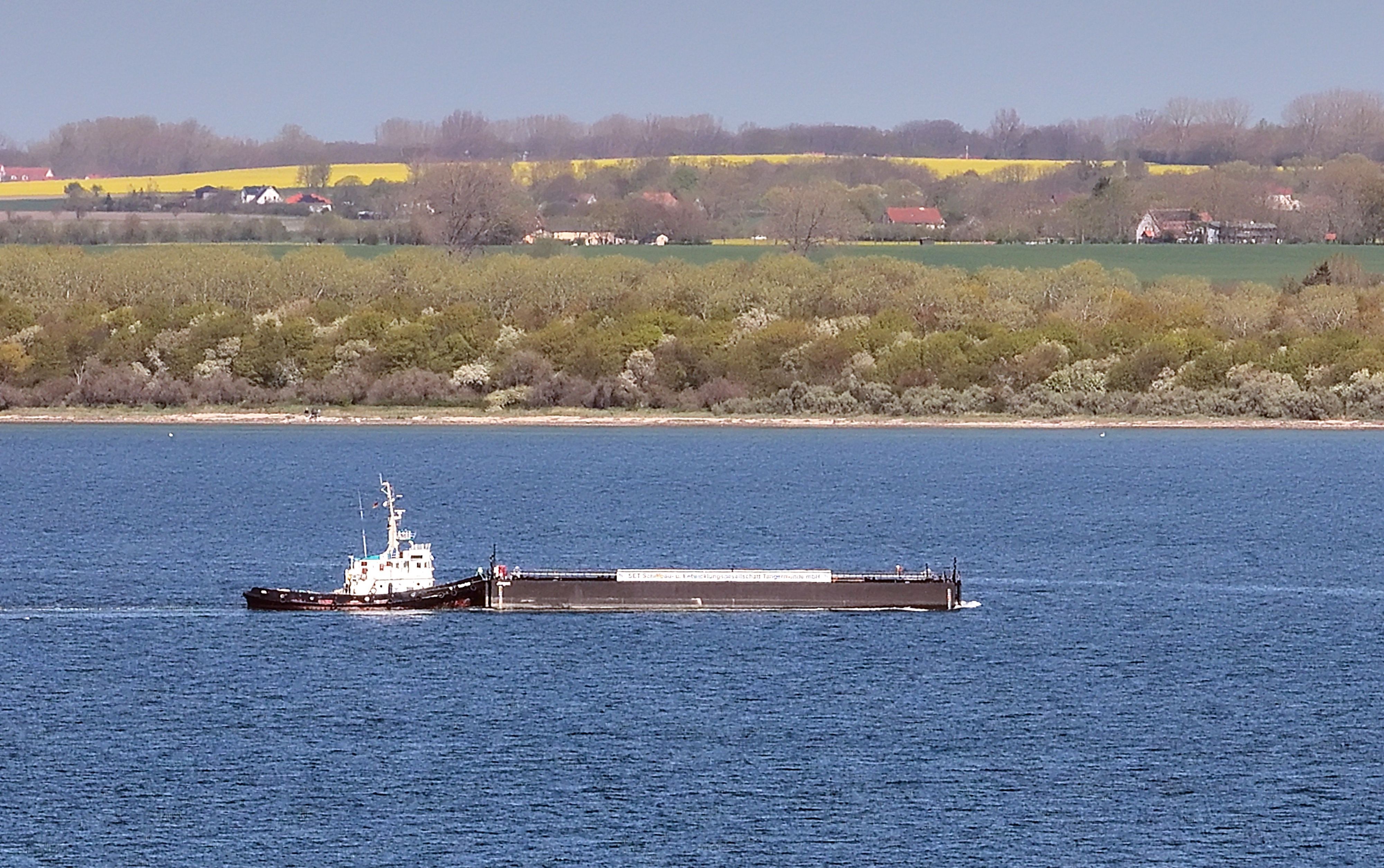 Das Schubschiff „Hans“ mit dem Lastkahn begab sich für die Rettung des gestrandeten Buckelwals „Timmy“ in Position.