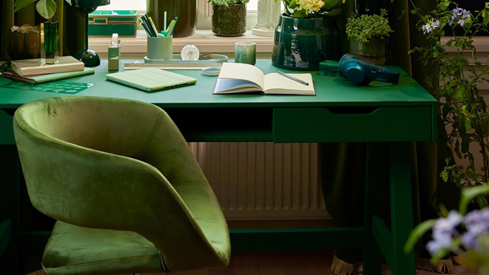 Viele Grünenpflanzen stehen neben einem Schreibtisch