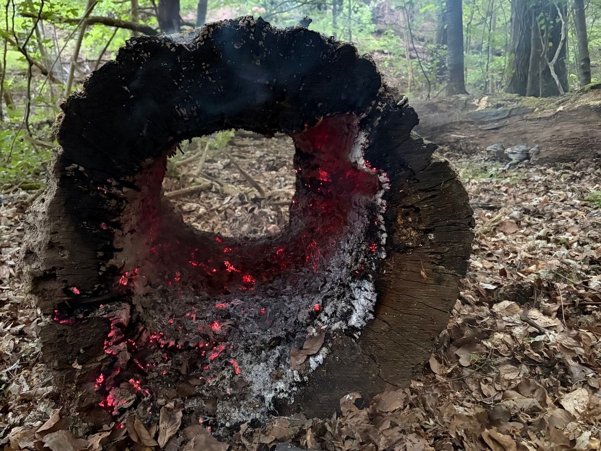 Feuerwehr Rösrath im Einsatz bei einem brennenden Baumstamm.