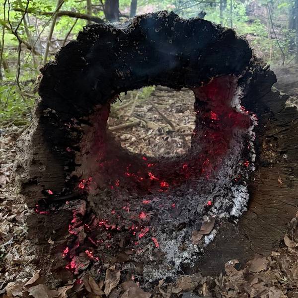 Feuerwehr Rösrath im Einsatz bei einem brennenden Baumstamm.