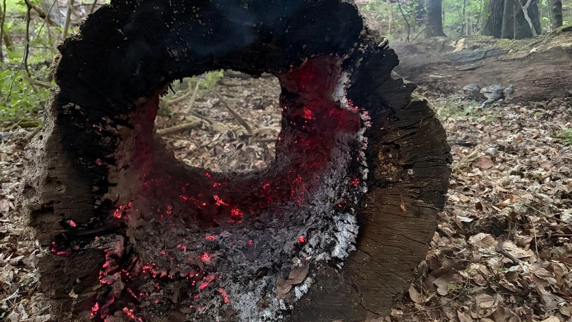 Feuerwehr Rösrath im Einsatz bei einem brennenden Baumstamm.