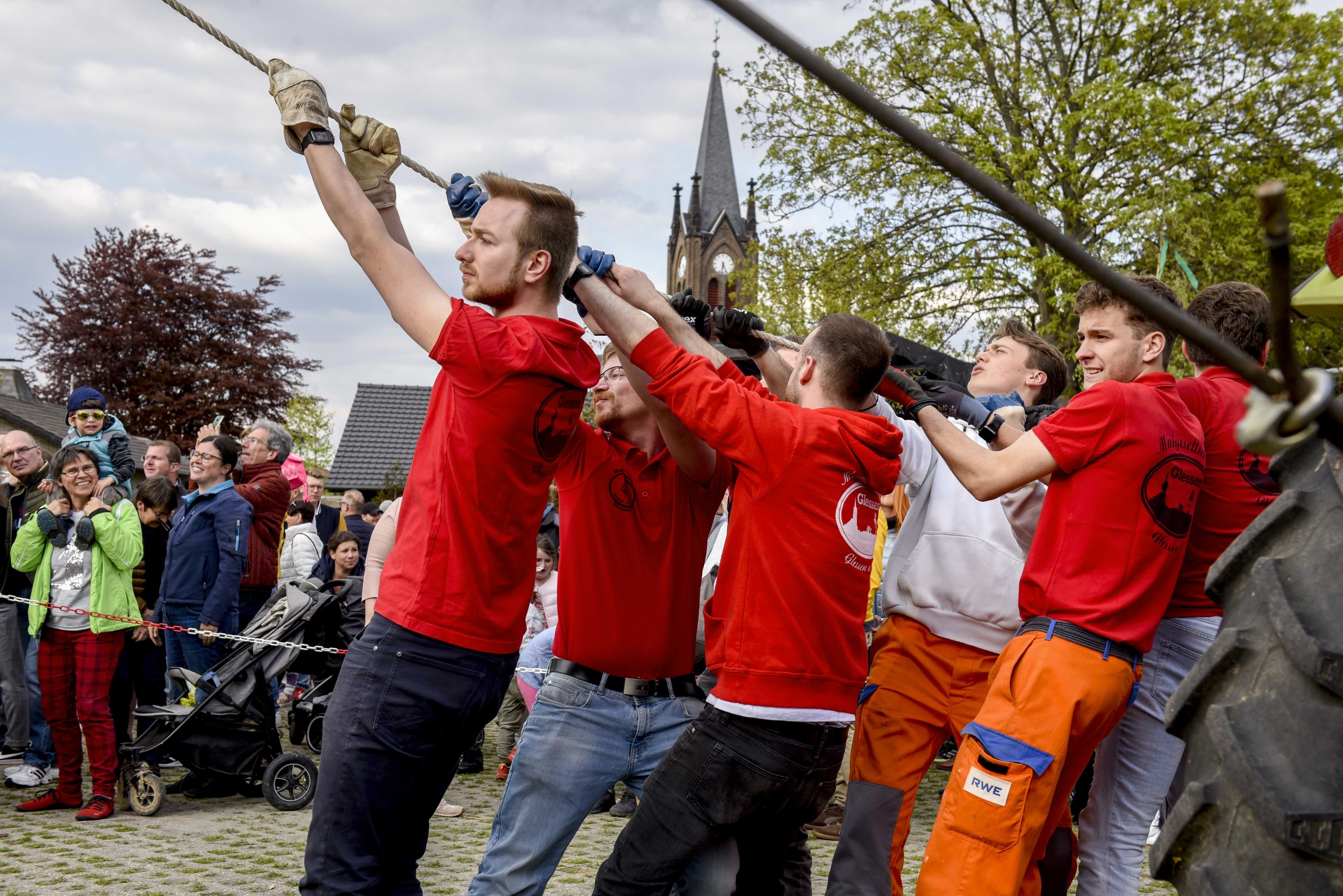 Mit vereinten Kräften und „Stippen“ zogen, schoben und wuchteten die Herren der Maigesellschaft Glessen den Maibaum in die Höhe.