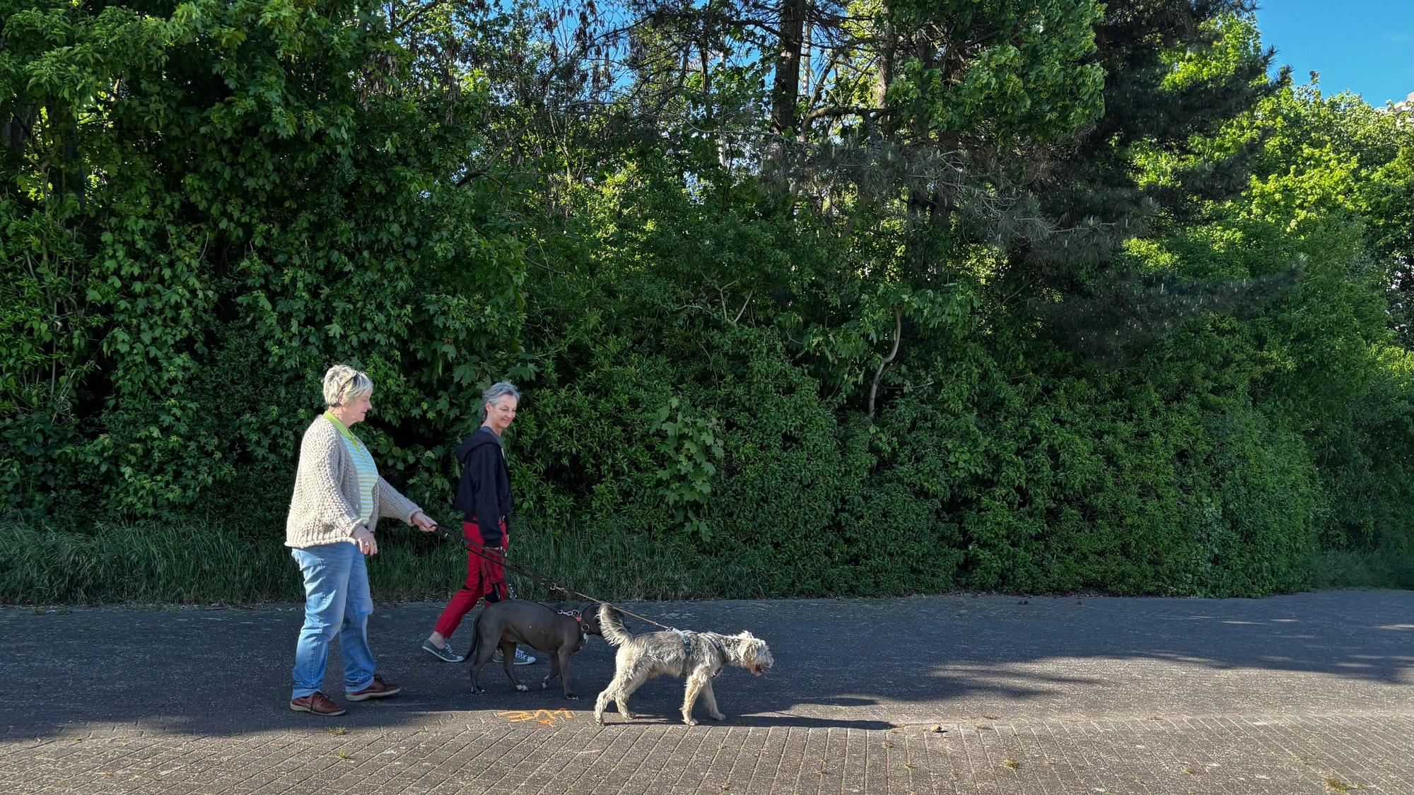 Die beiden Frauen gehen einen Weg im Park entlang.