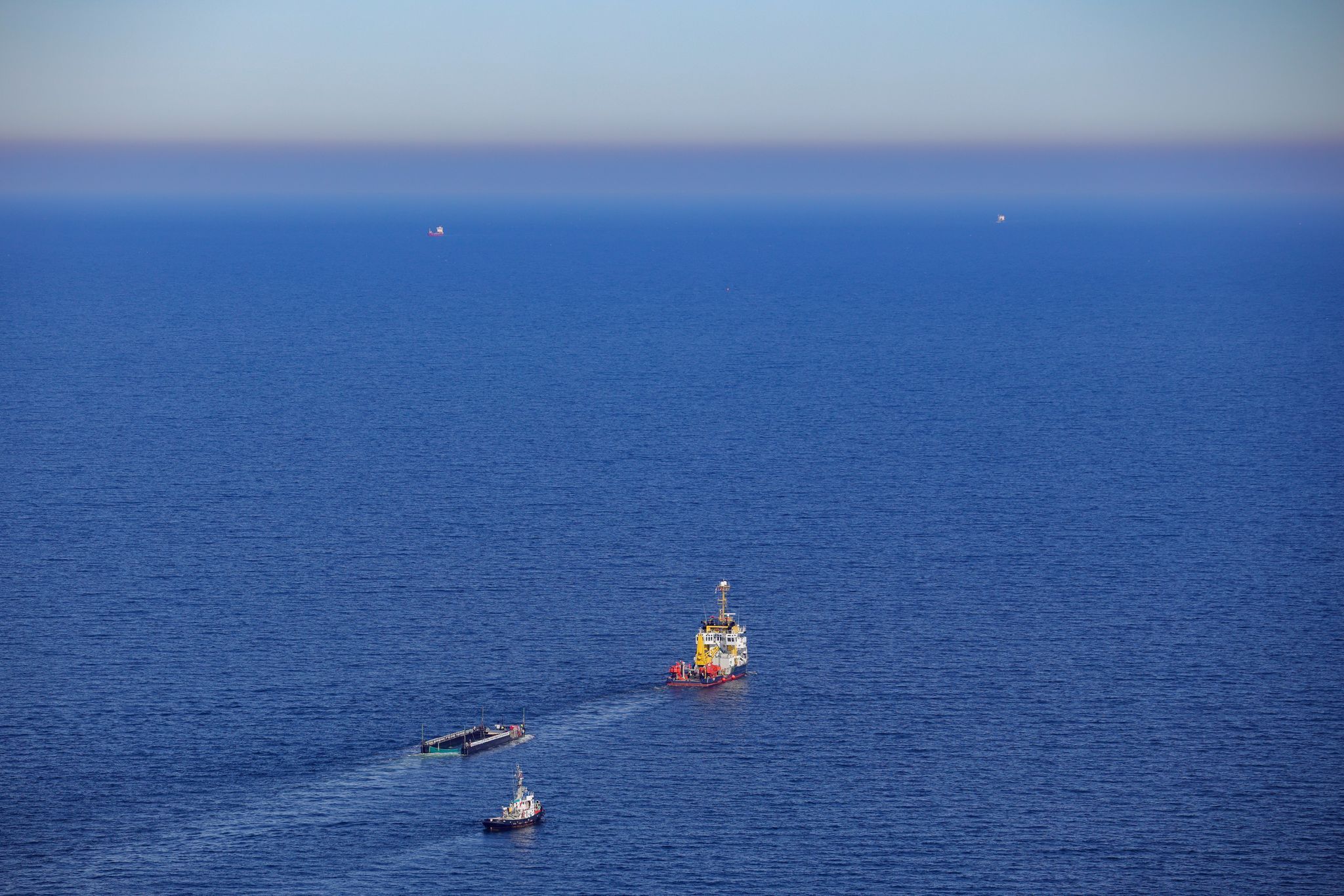 Weitere Entwicklung zum Buckelwal in der Ostsee