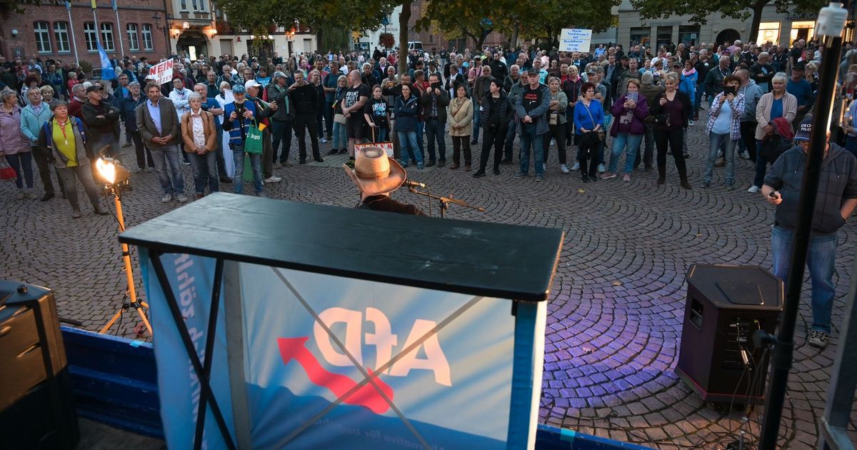 AfD Sachsen-Anhalt: Massenpräsenz und starker Zulauf trotz Extremismus-Einstufung