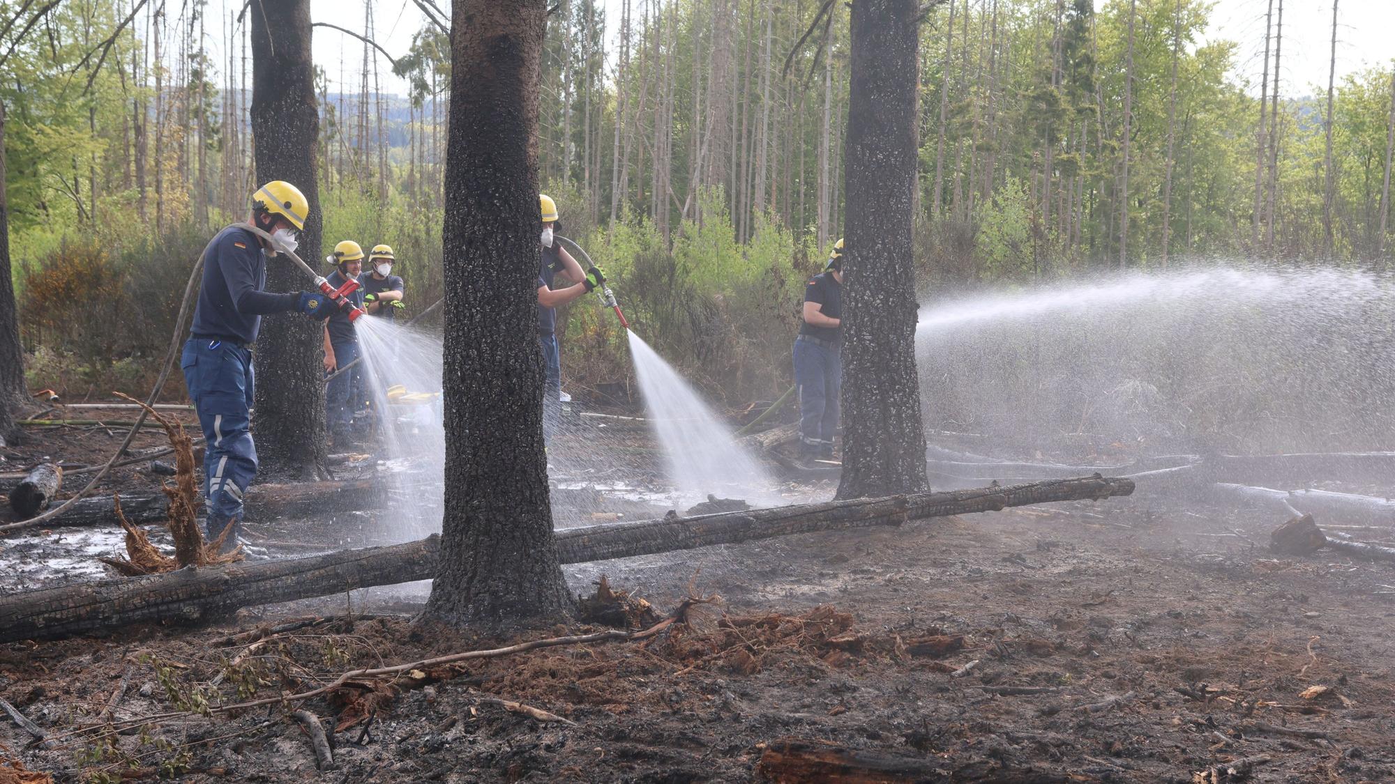 Feuerwehrleute löschen Glutnester in einem Wald.